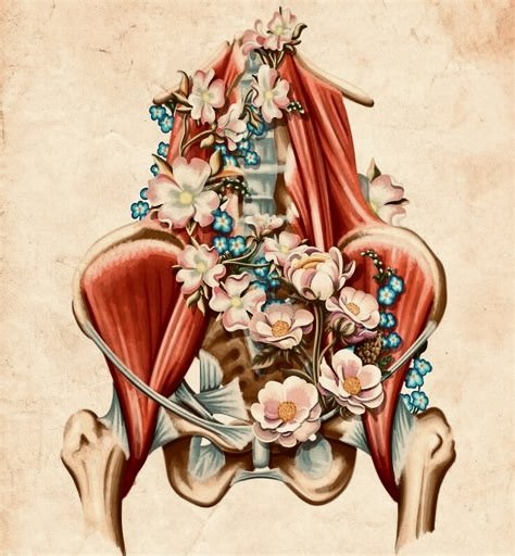 Bekkenkracht en bekkenbewustzijn