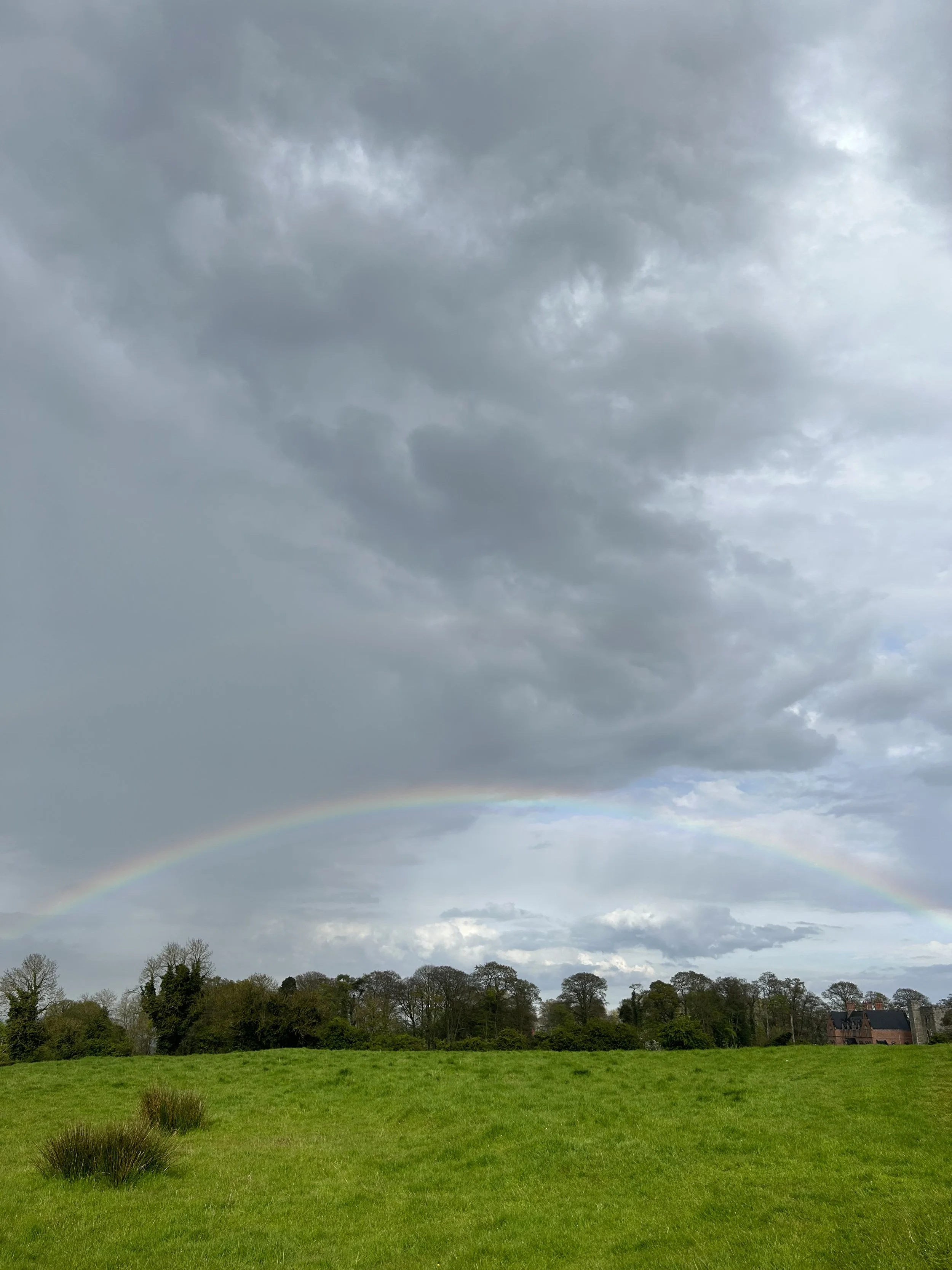 Ireland rainbow MM vertical.jpeg