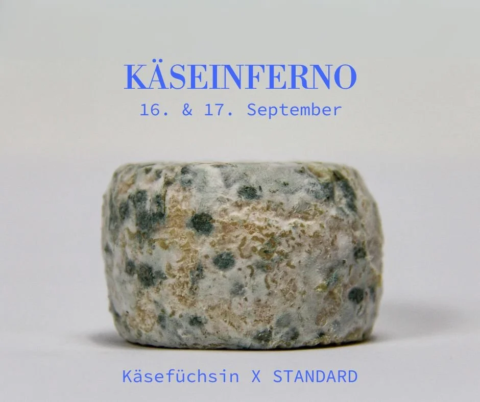Käseinferno im STANDARD mit Käsefüchsin Josefine