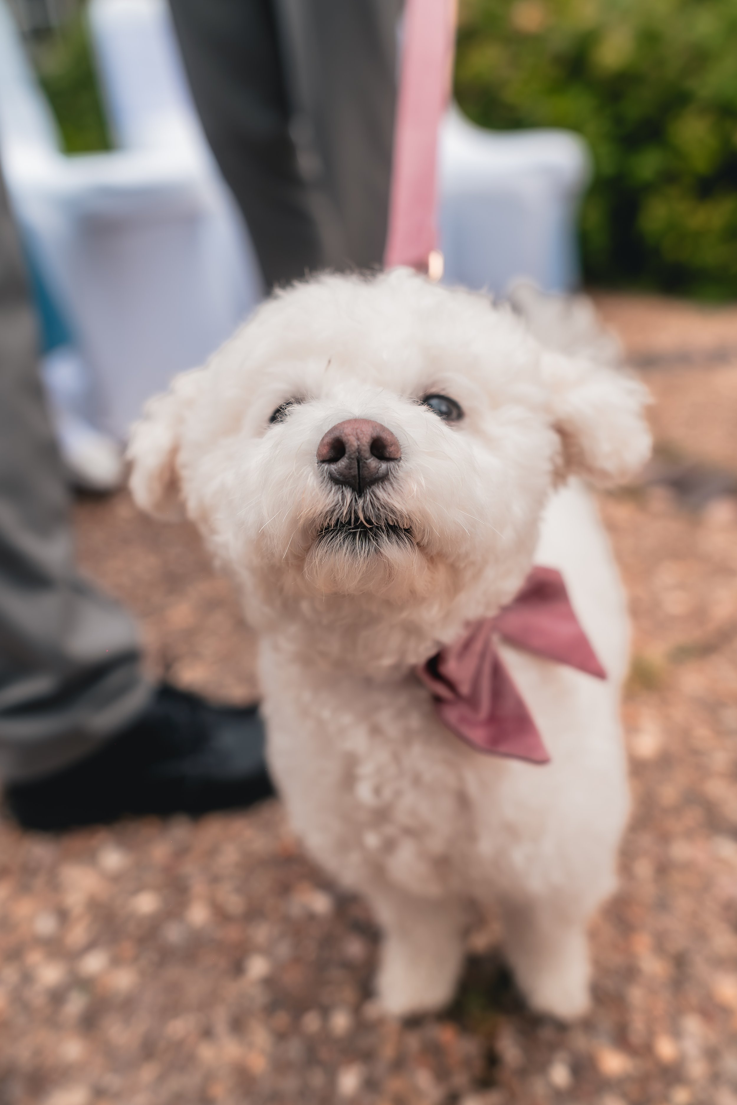 Kayleigh and Lewis wedding-Brook Marston Farm Hotel-Candid moments