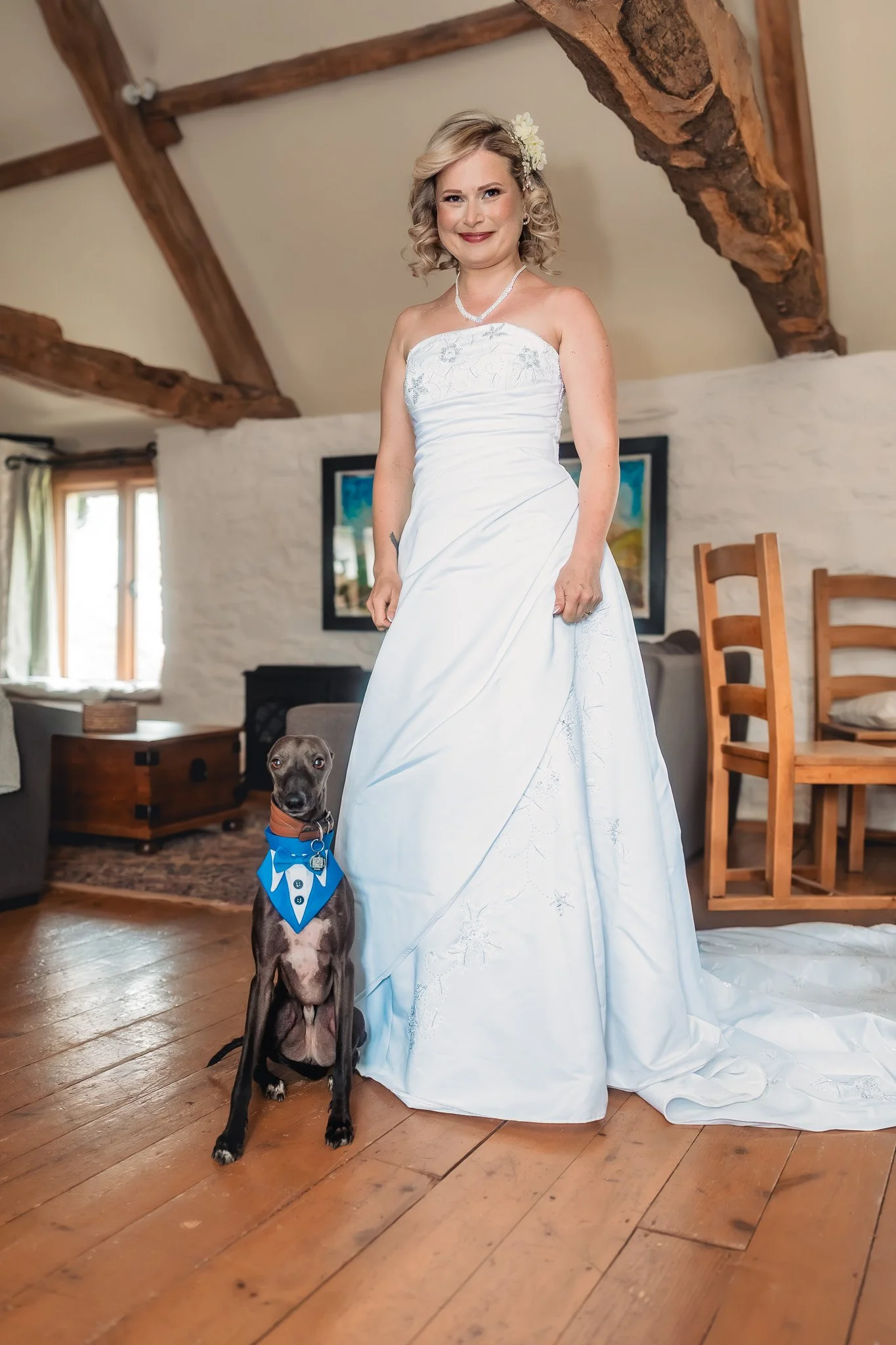 Dog attending Barn at Brynich wedding celebration