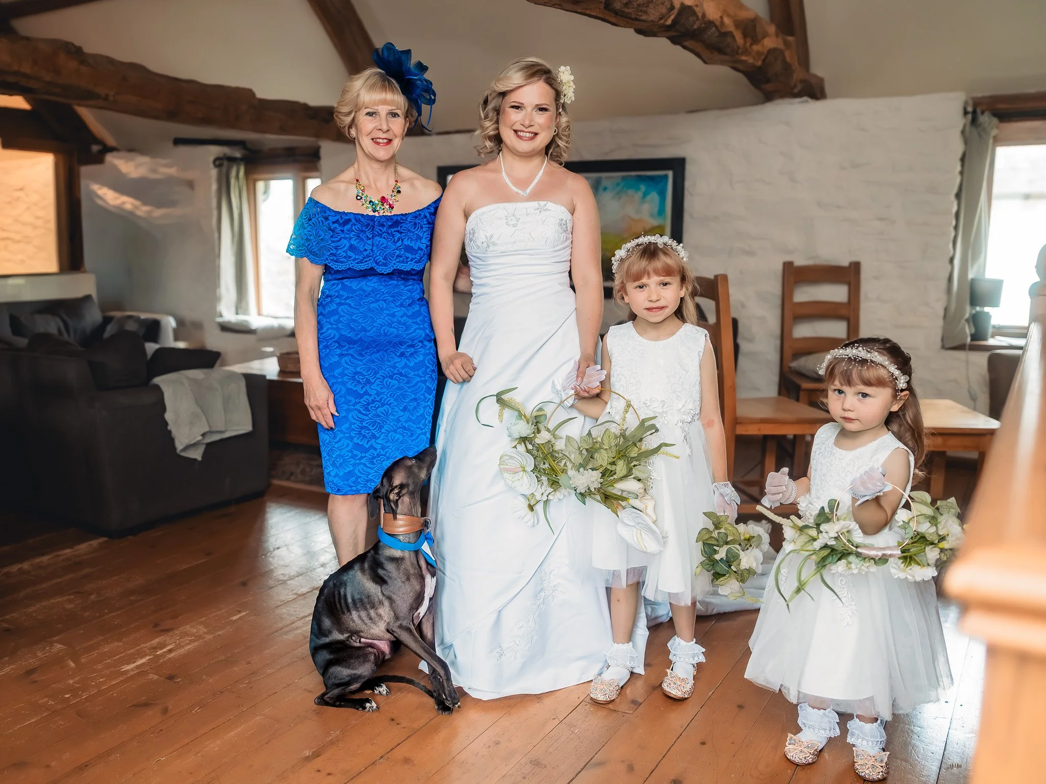 Dog attending Barn at Brynich wedding celebration