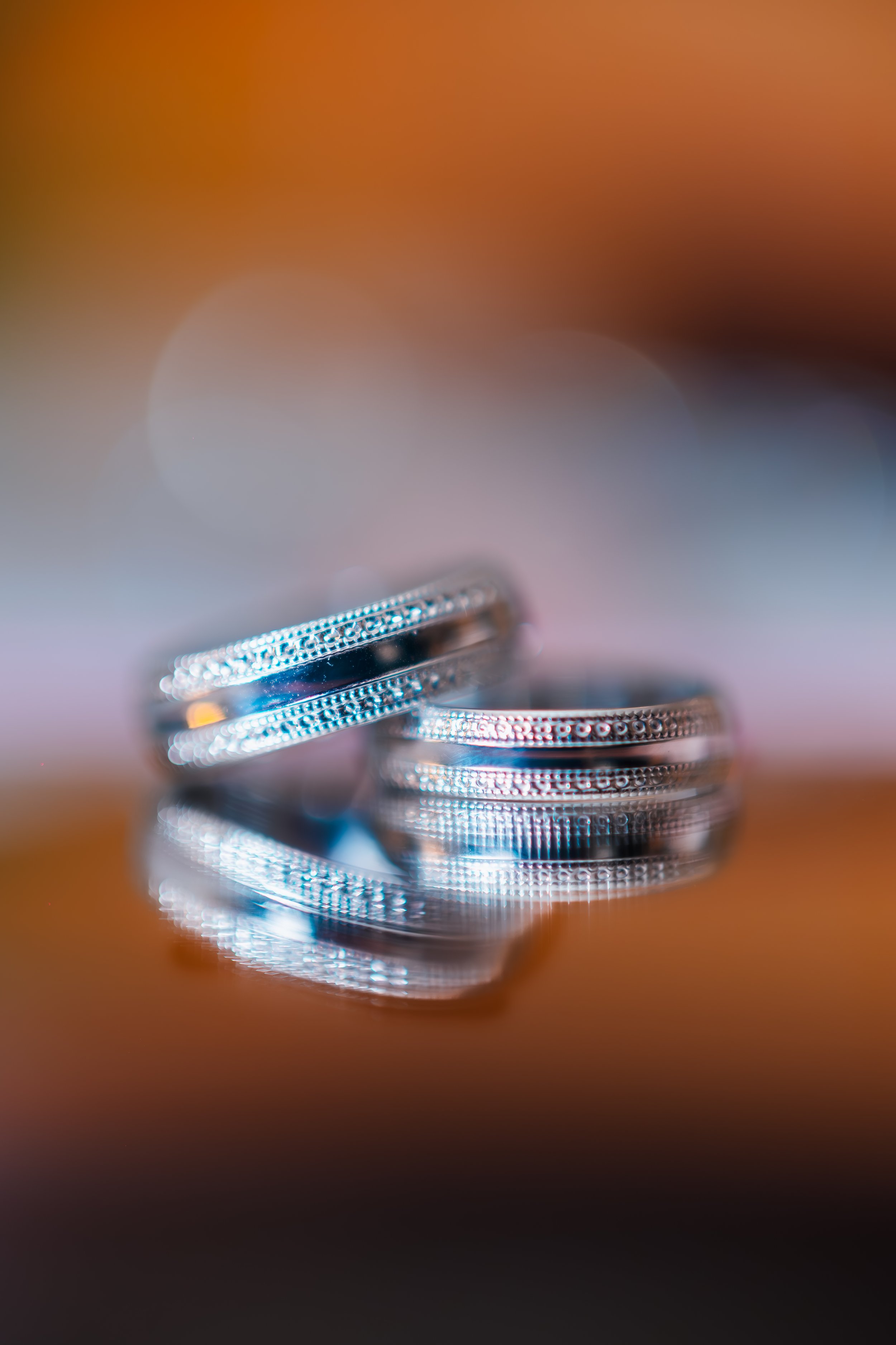 Jose and Mary wedding-The Angel Hotel, Cardiff-7th December 2025-73.jpg