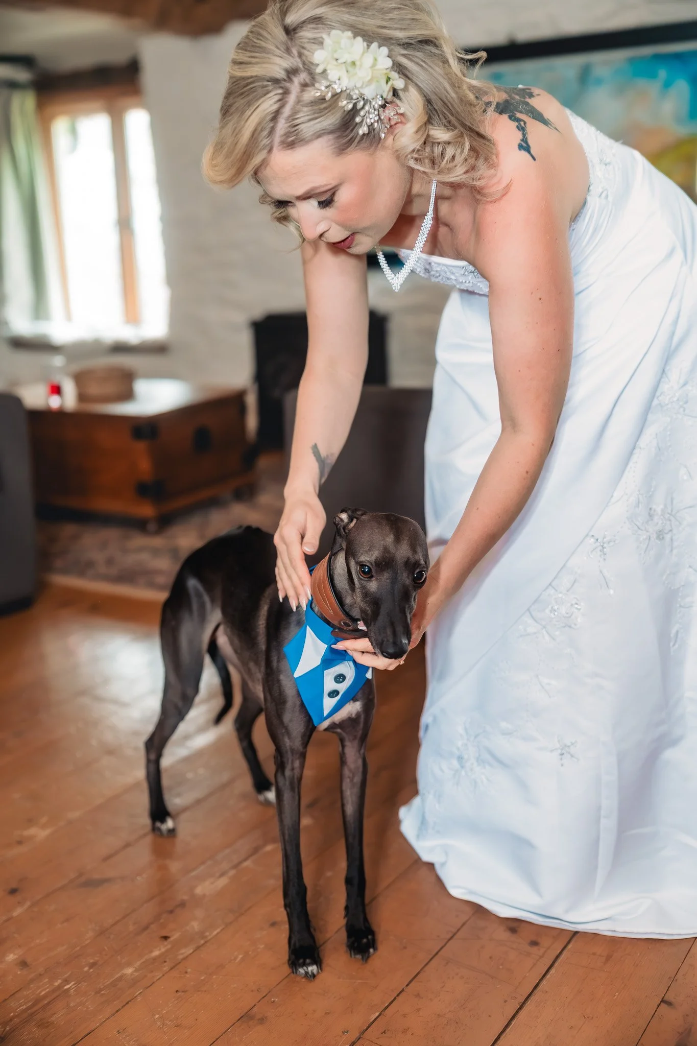 Dog attending Barn at Brynich wedding celebration