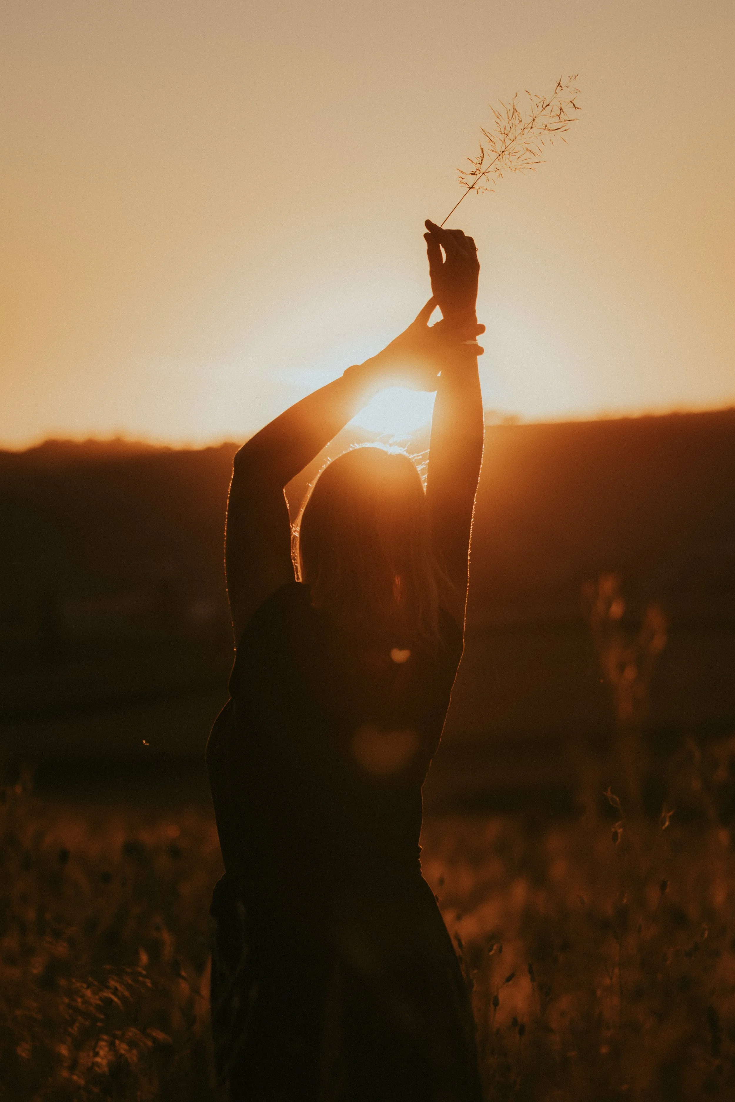 Eine Person hält eine kleine Pflanze oder einen Zweig hoch in der Sonne während des Sonnenuntergangs in einer offenen Landschaft.