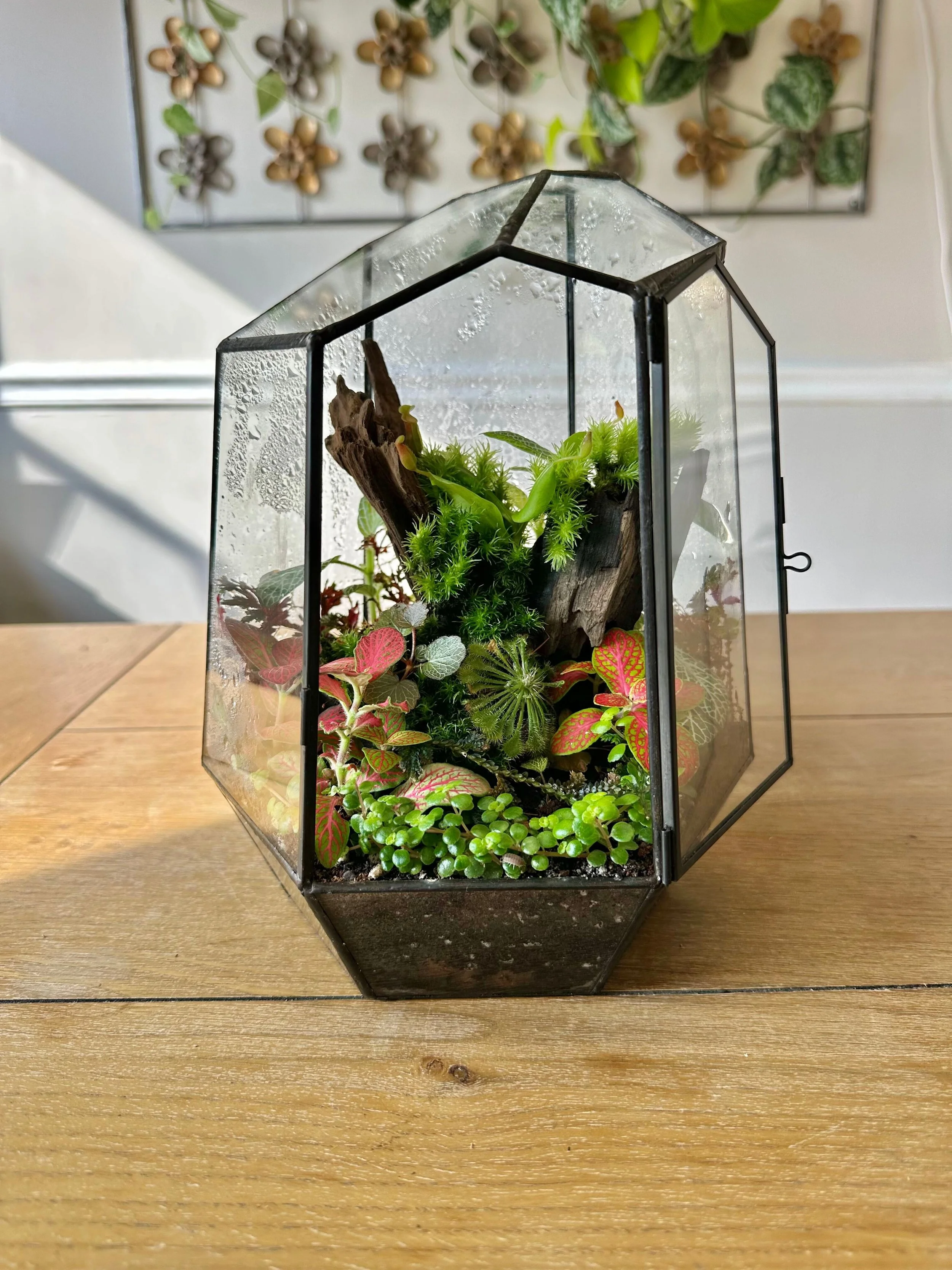 Project Twenty-Eight