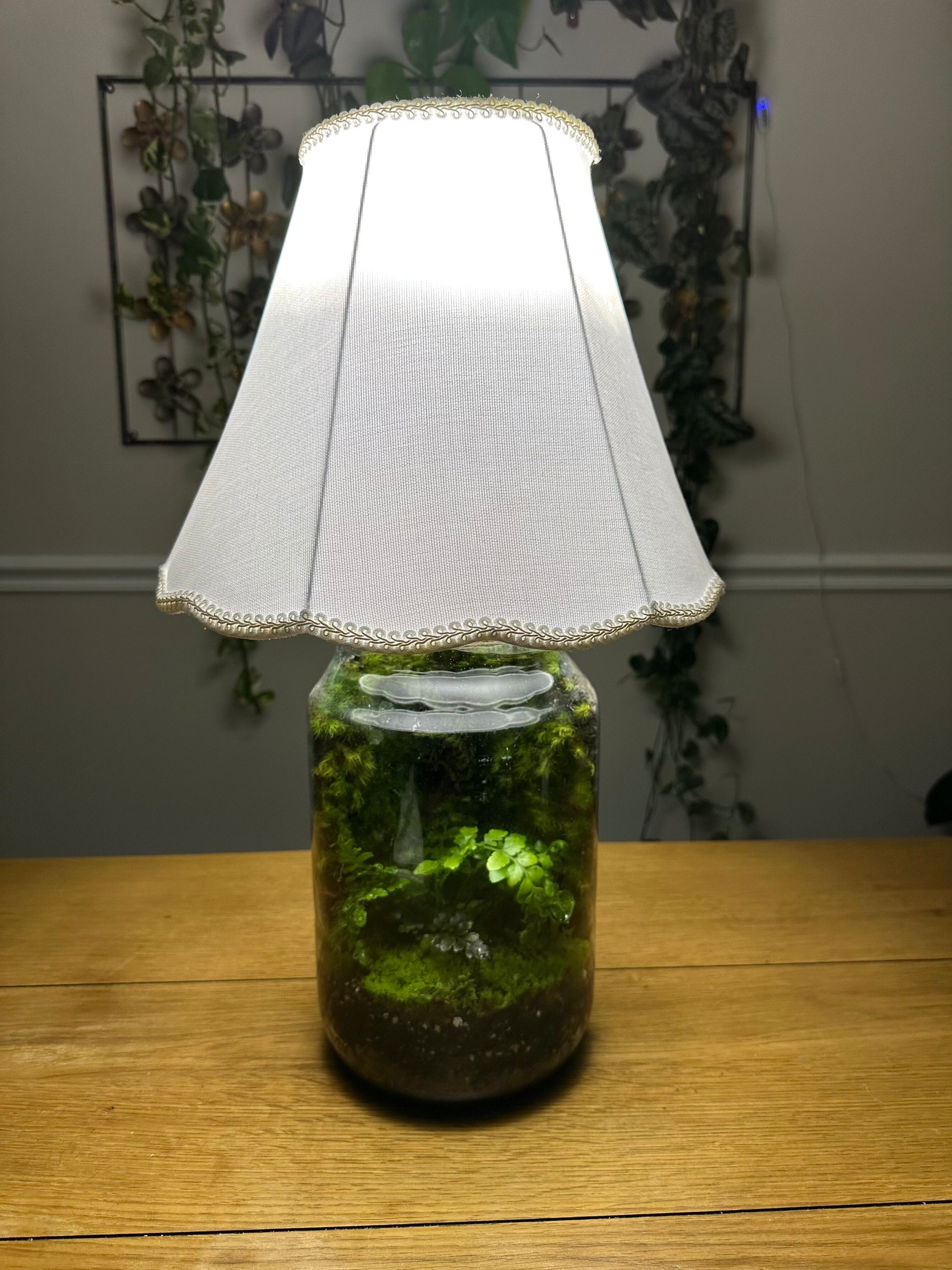 Project Thirty-Seven
