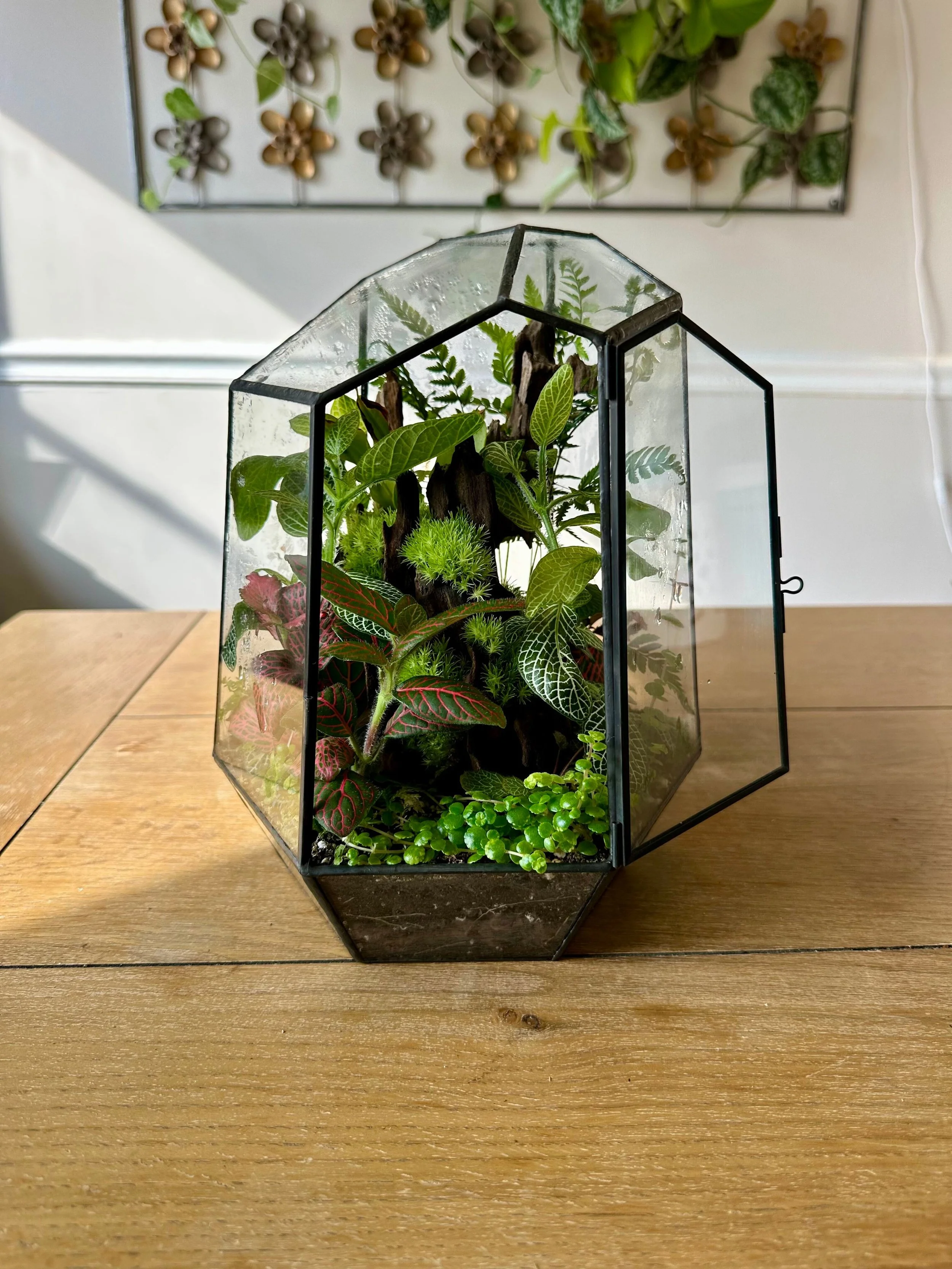 Project Twenty-Seven