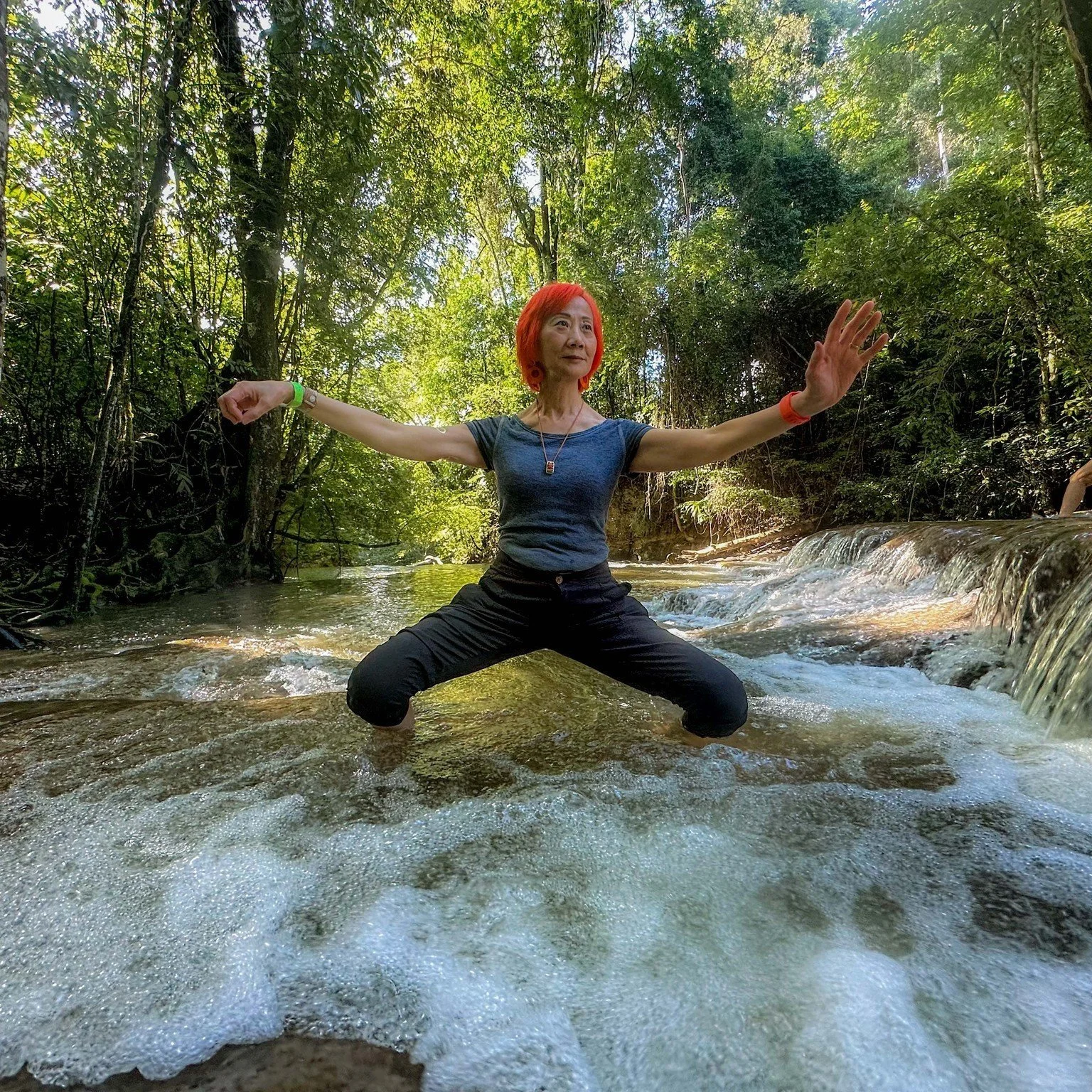 Violet Li Action.jpg