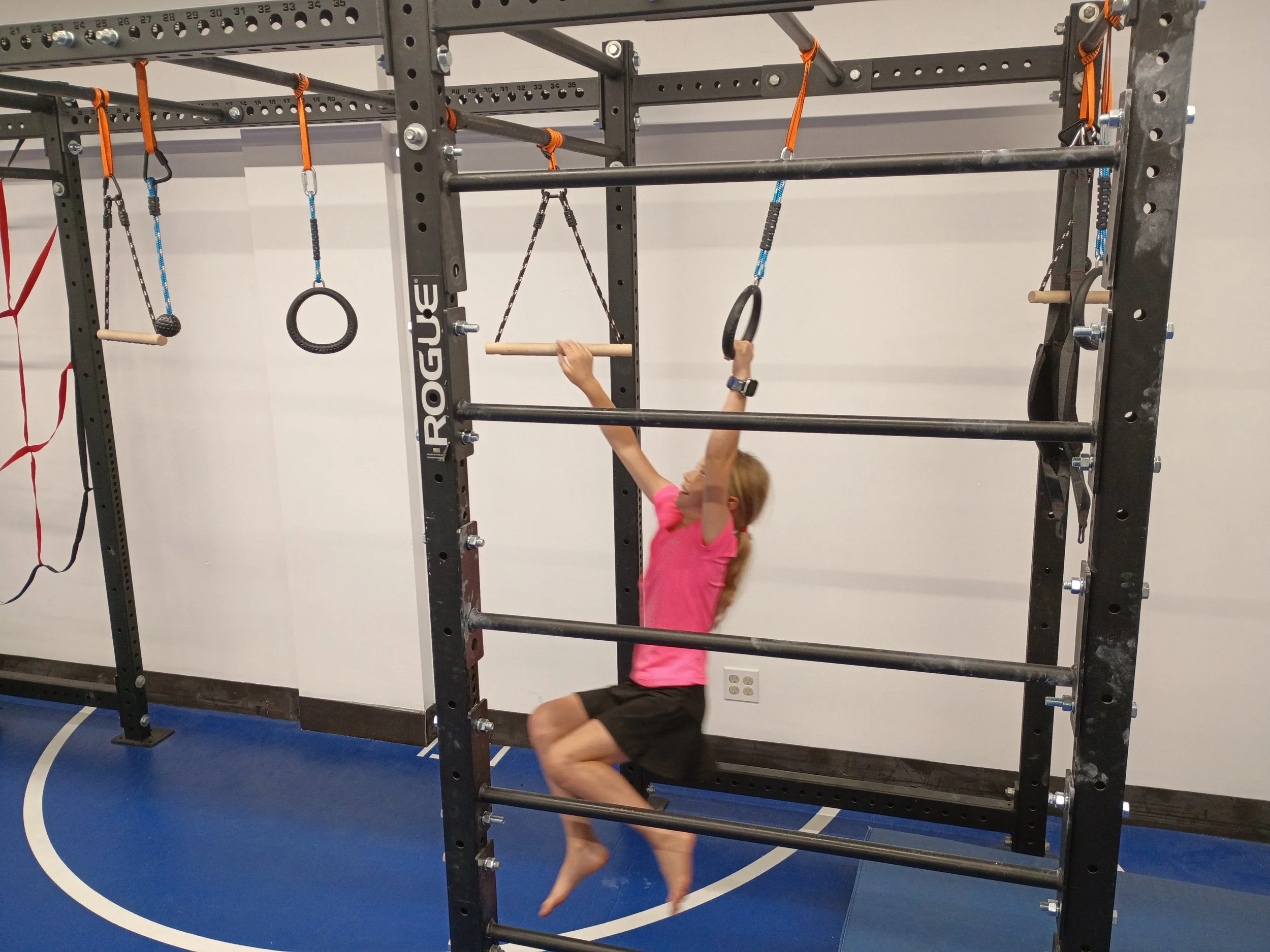 Monkey Climber 2.jpg