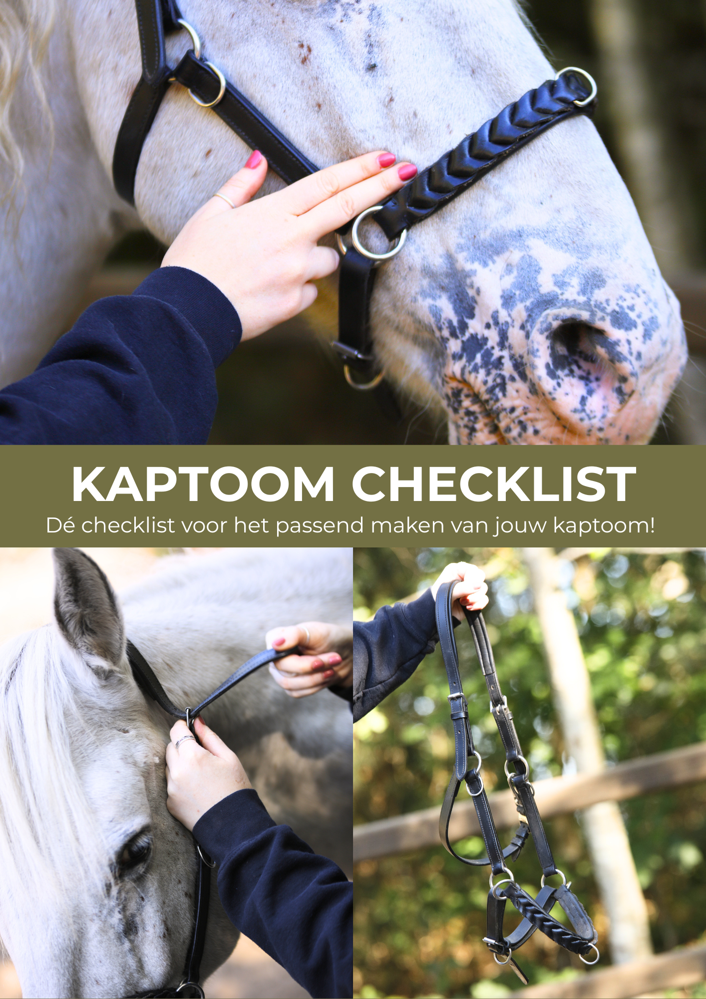 EBOOK: Kaptoom Checklist