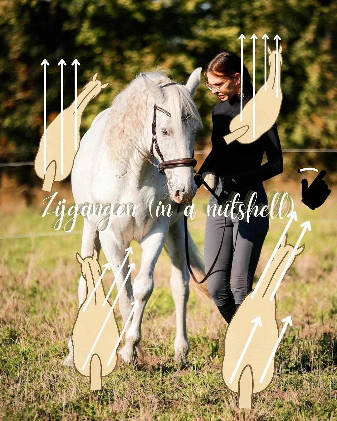 Zijgangen! (in a nutshell)✨

Speciaal voor jullie een overzicht met alle zijgangen op beeld met handige illustraties erbij. Mocht je nou nog eens twijfelen, pak dit overzicht er gerust bij! 

📥 Wist je dat je dit gemakkelijk kan terugvinden door dez