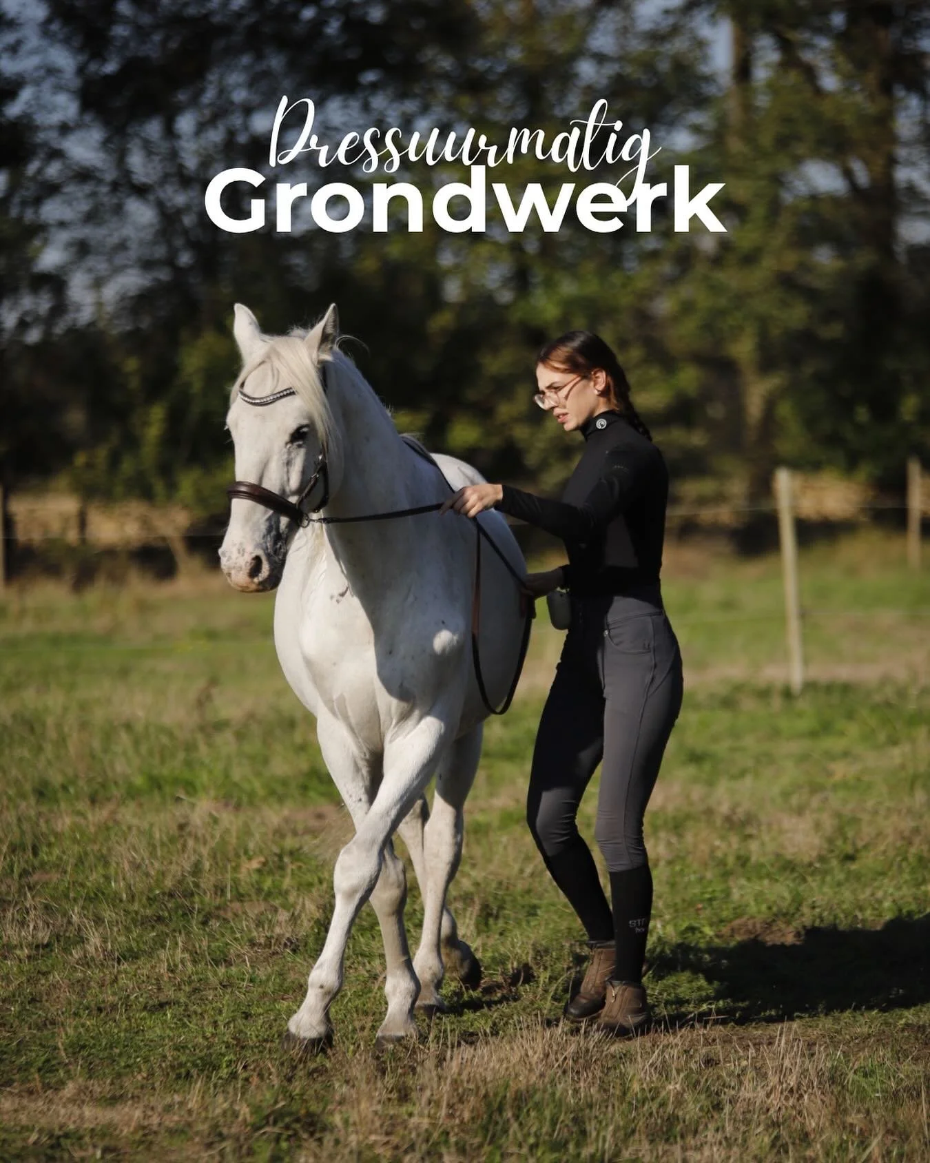 Dressuurmatig grondwerk ; het onbelast trainen met verbinding en vertrouwen❤️

👉🏻 Tijdens dressuurmatig grondwerk staat het ontwikkelen van kracht, souplesse en co&ouml;rdinatie centraal, zonder dat het paard gewicht hoeft te dragen. Door middel va
