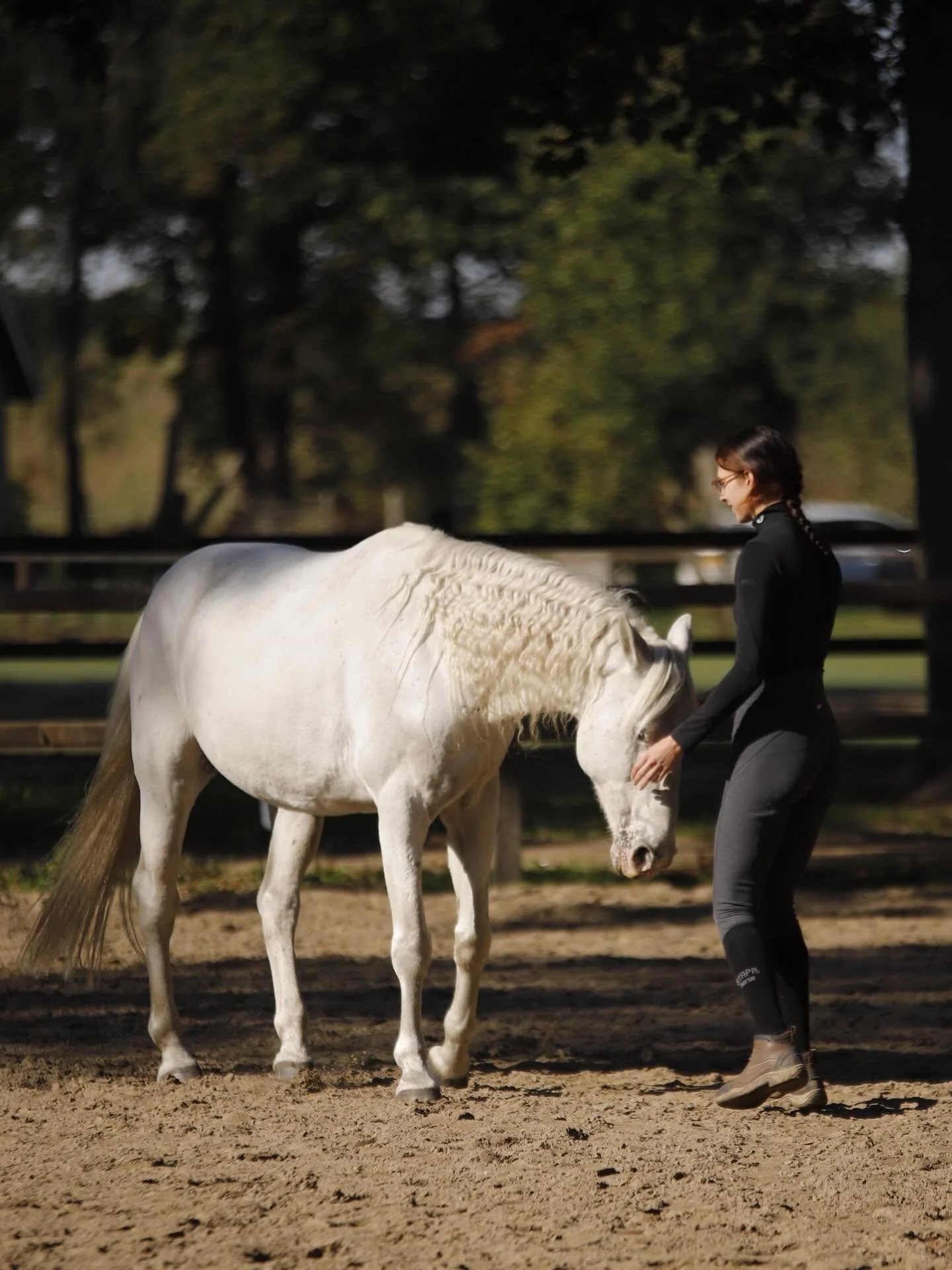 Connectie als rode draad! 

De connectie is het eerste wat moet kloppen.
 Vaak willen we een hoop van ons paard, en moeten ze ook een hoop van ons. 

Ik wil mijn paard iets kunnen vragen uit liefde, met een stevige basis van connectie. Zonder die con