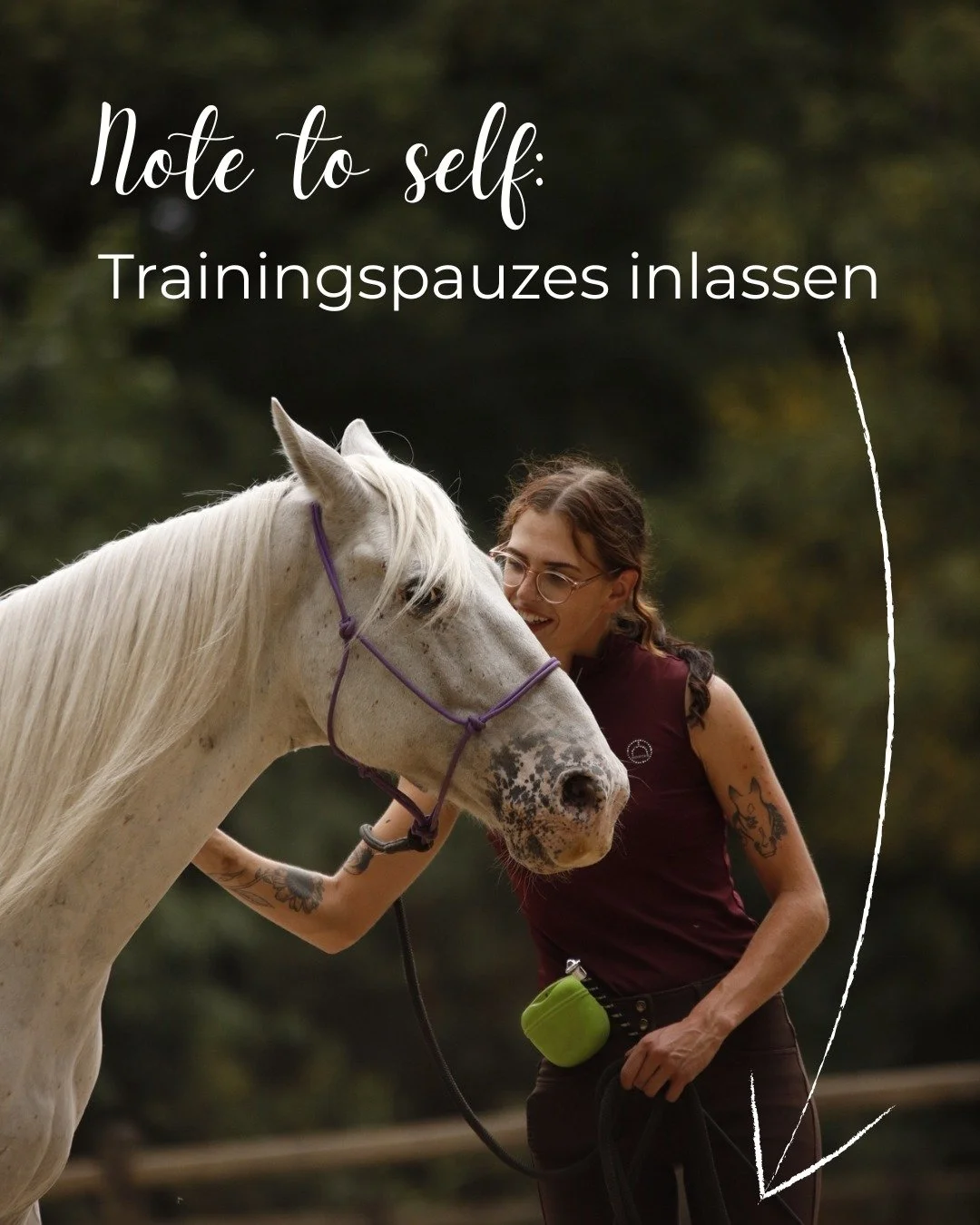 In de training zijn we vaak geneigd om altijd maar door te trainen. Maar wist je dat zo nu en dan een trainingsstop inlassen helemaal geen gek idee is voor sommige paarden?

Fysiek helpt dit om spieren te kunnen herstellen. Bij periodes van intensiev