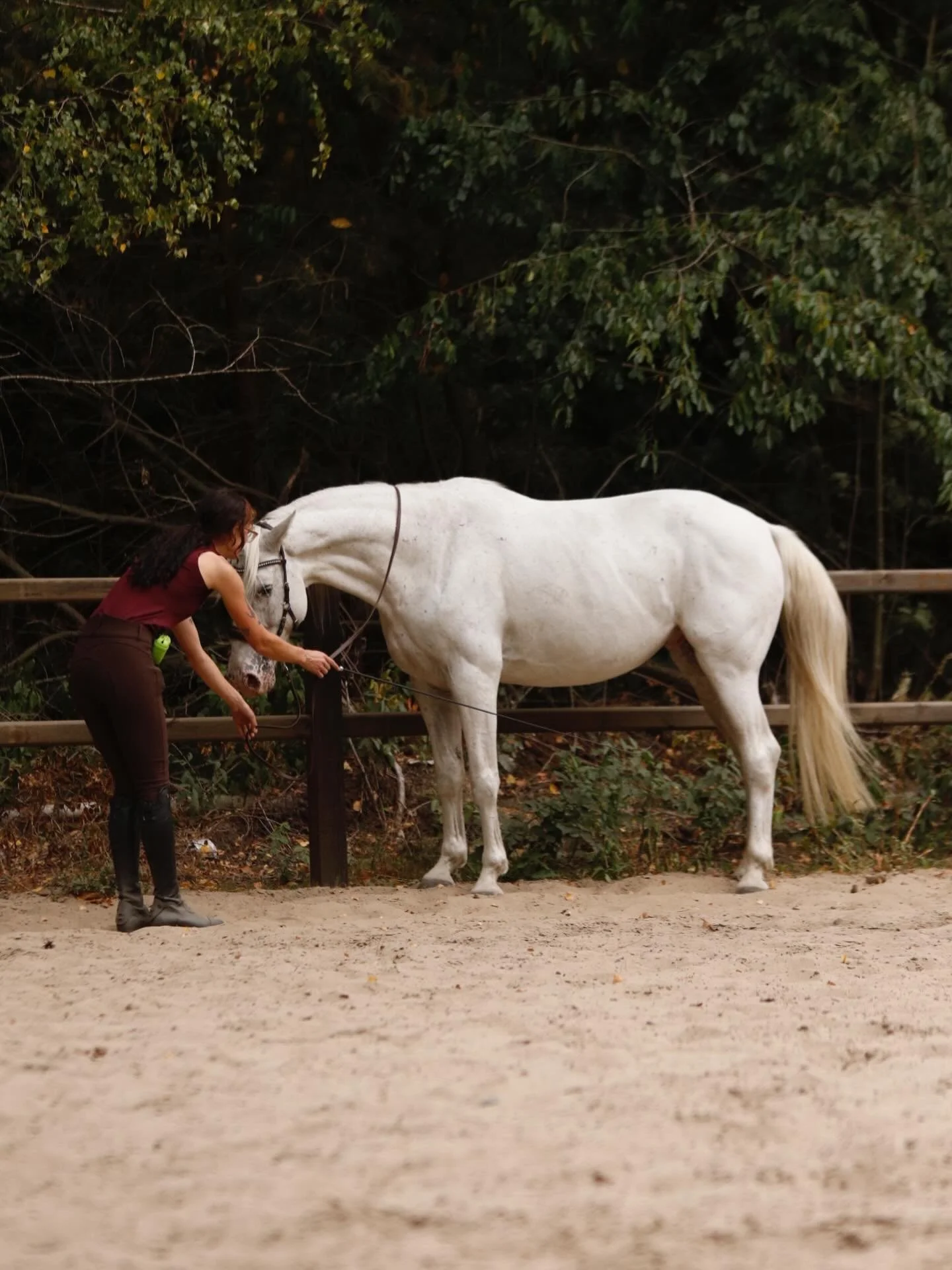 Communicatie met ons paard moet moeiteloos kunnen gaan. En dat is 100% mogelijk, paarden communiceren enorm subtiel! 

Moeiteloos communiceren kan alleen maar als wij ook bereid zijn klein te kijken en klein te reageren. Houd kleine hulpen klein, heb