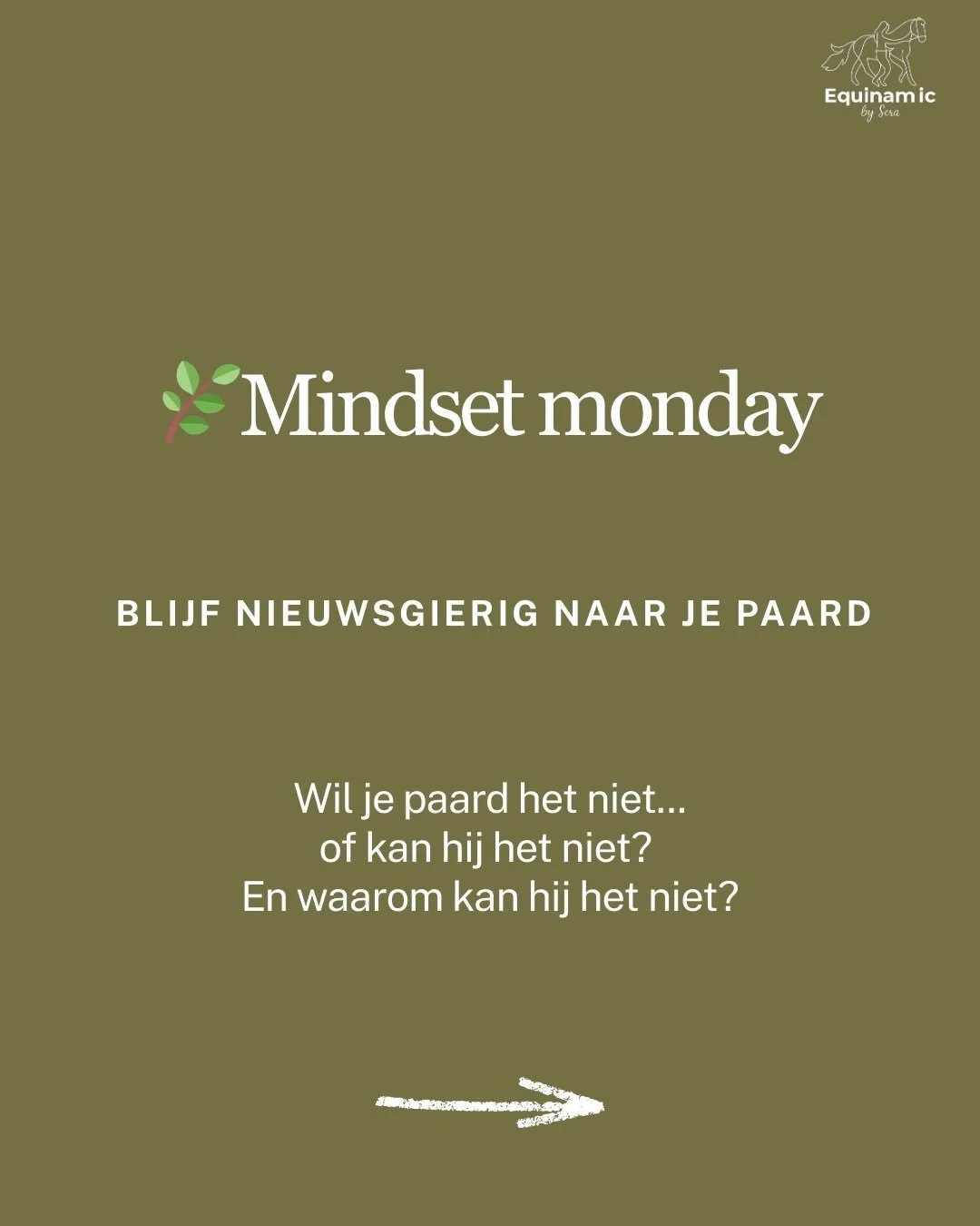 Soms zit het verschil in &eacute;&eacute;n gedachte.

Die mindshift buigt frustratie om naar nieuwsgierigheid. 
En d&aacute;t veranderd je training! 

✨Blijf nieuwsgierig naar je paard

#mindshiftmonday #paardentraining #grondwerk