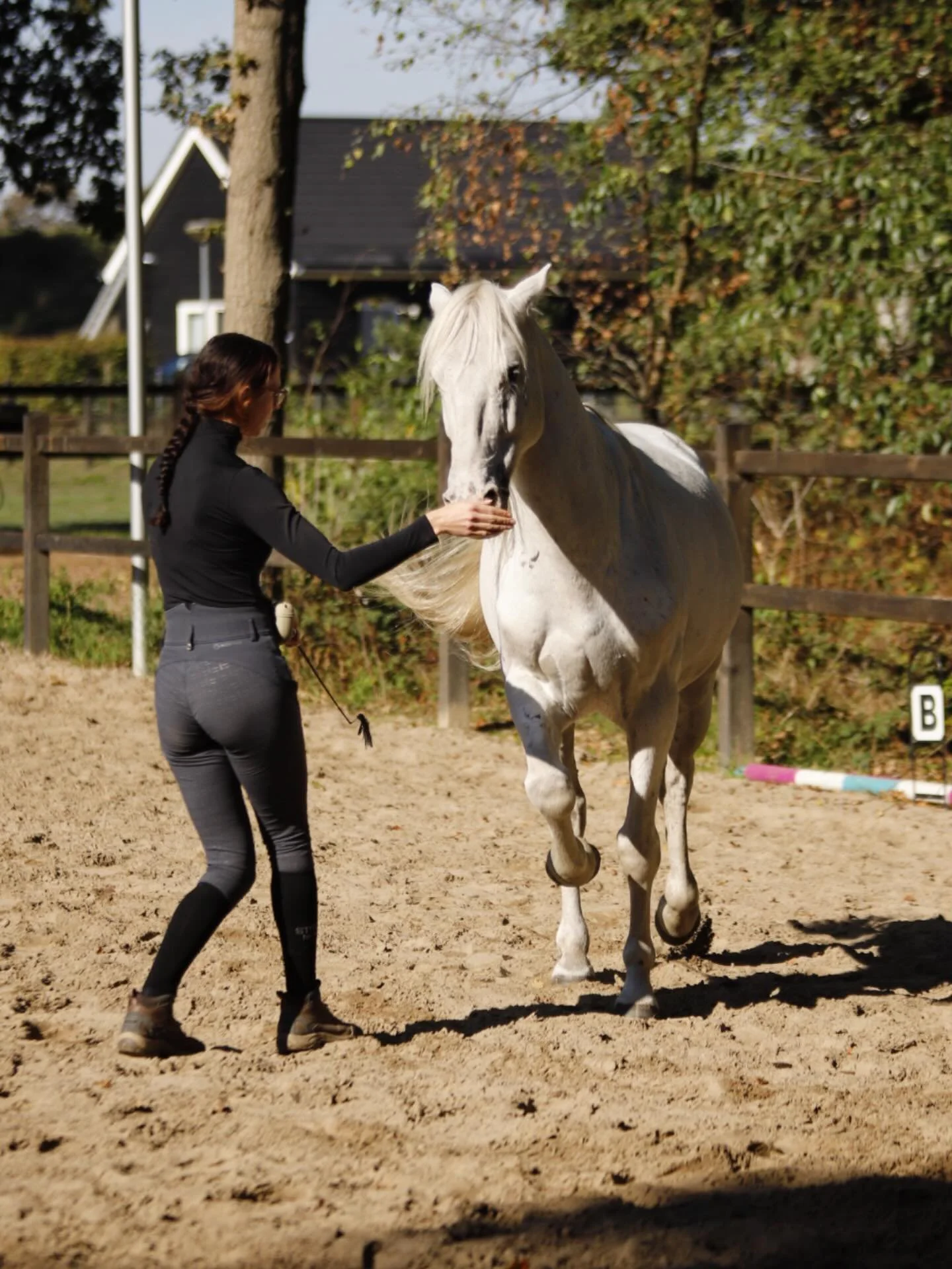 Let op! Eerlijke post😉

Update Caspar! 

De afgelopen tijd zit Caspar steeds beter in zijn vel. Wij staan nu een jaar op de huidige stal, en ik kan nu echt merken dat hij zijn draai heeft gevonden. Hij staat met 4 hoeven op de grond, hij is kalm, nu