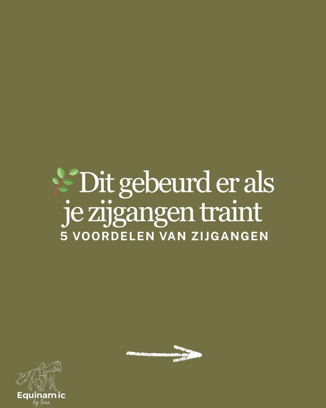 Meer over de voordelen van zijgangen in deze post! 

Echt mijn go to oefeningen met mijn eigen paard en trainingspaarden, want wat een waardevolle toevoeging is dit in je training! Wat je discipline of niveau ook is, zijgangen dragen bij aan de fysie