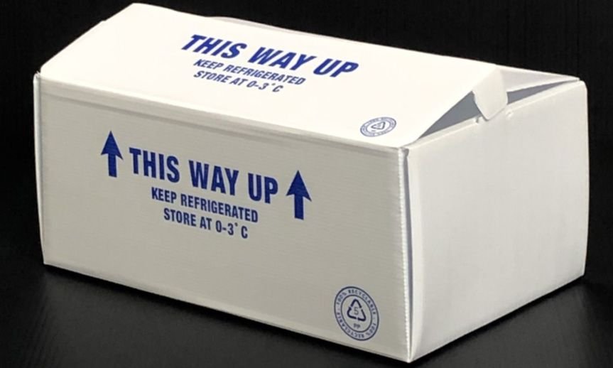 100 Count Box