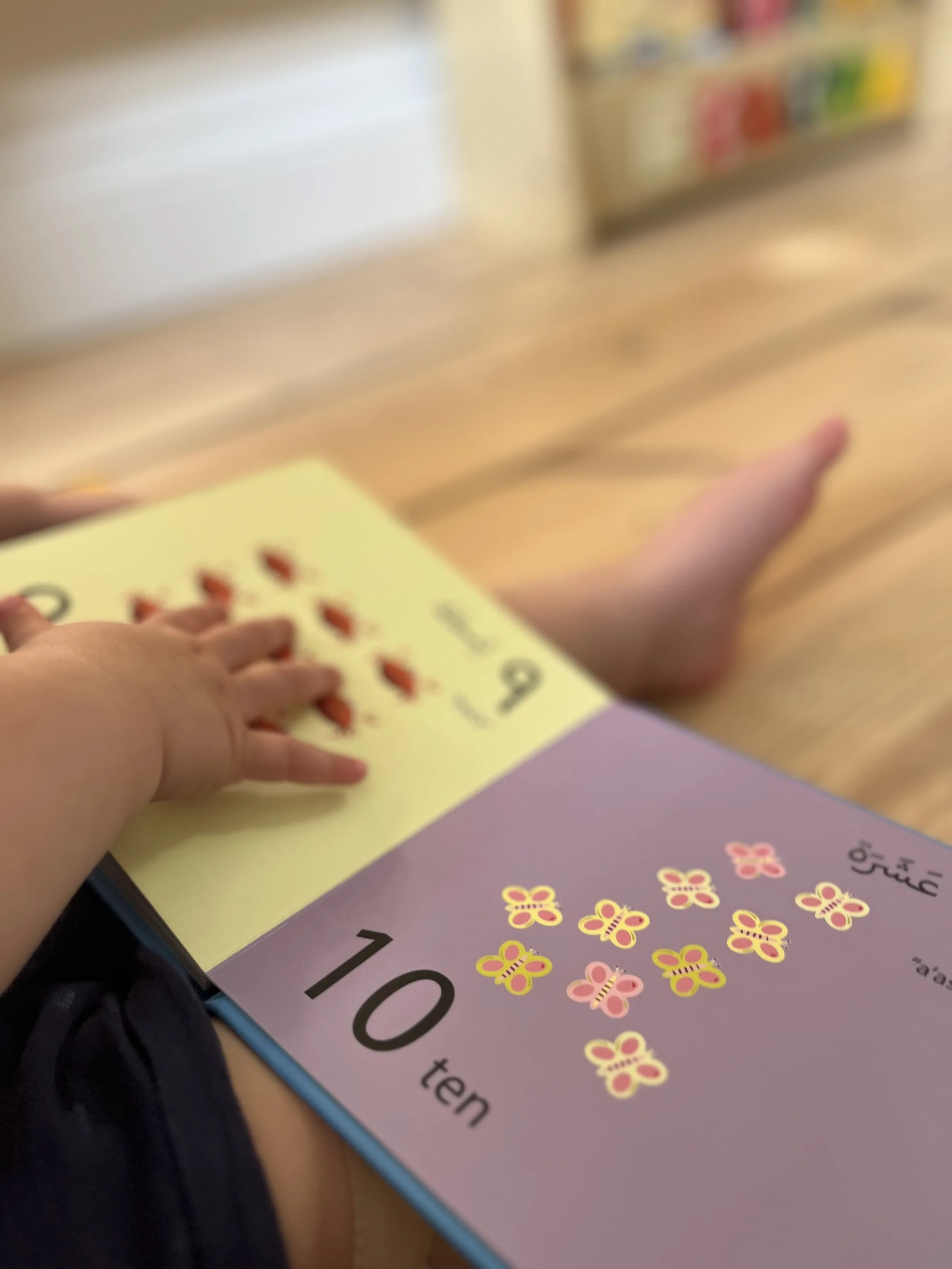 Count To Ten bilingual book being read by a young child, pointing at the colourful illustrations