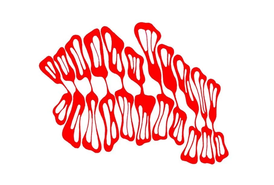 VIARAYA  - Abstract Graphics by Valentina Araya 