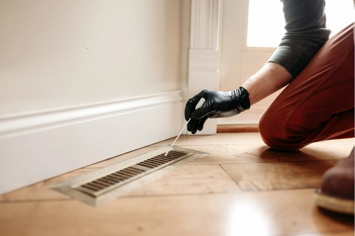 swab sample identifying mold spores in home