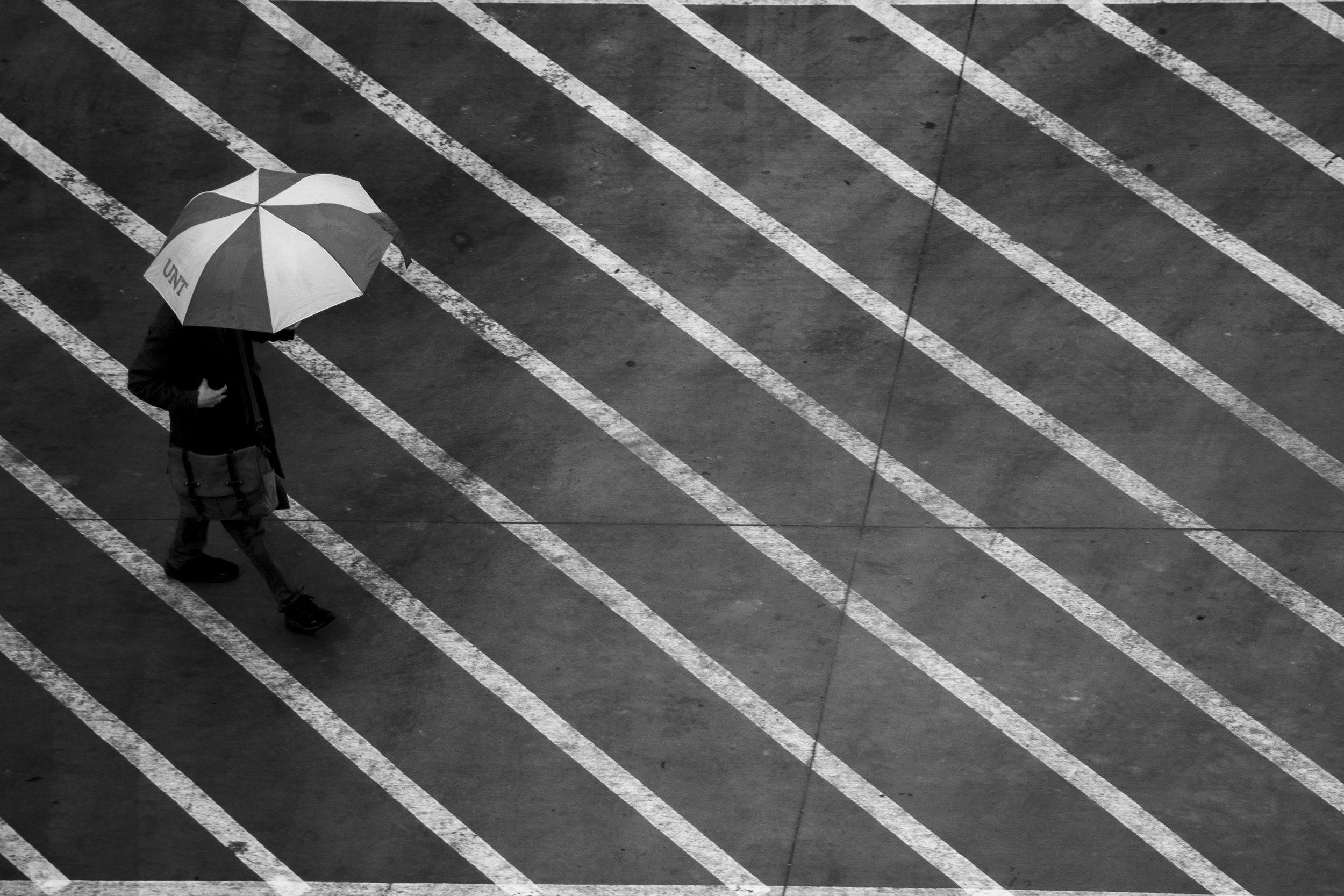 A man with an umbrella walks by Eagle Landing on the university campus on Jan 29, 2025.