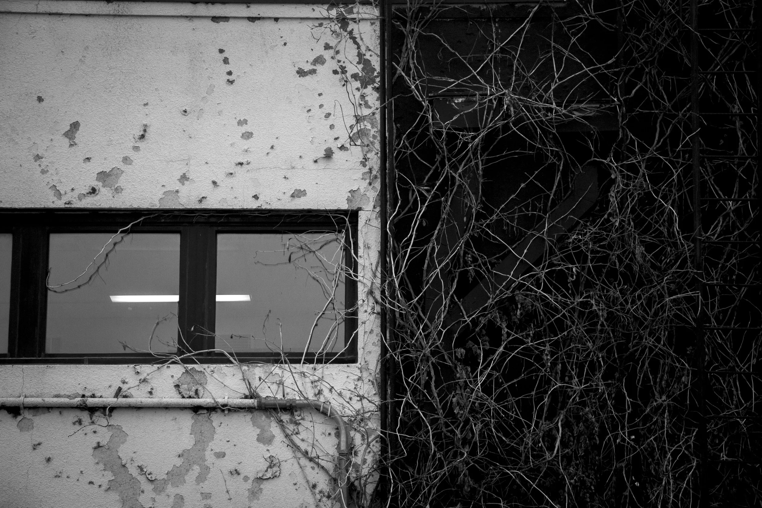 A wall near the Denton city square on Jan 29, 2025.