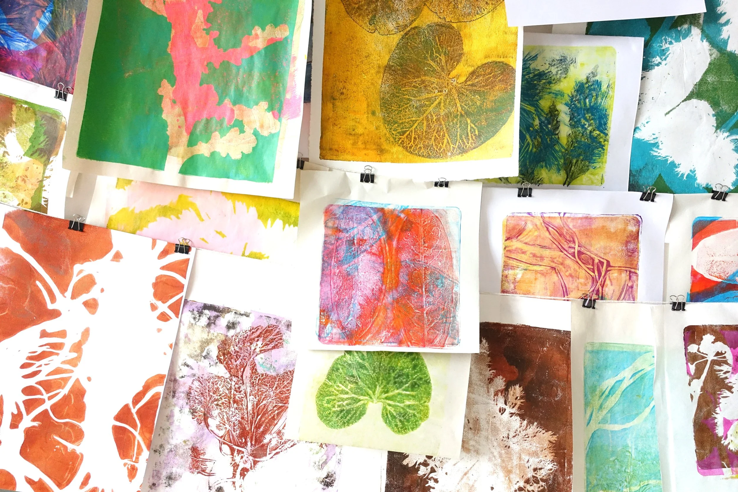 DSC02137crop copy.jpg