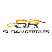 16.png