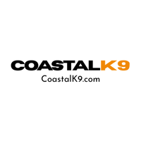 13.png