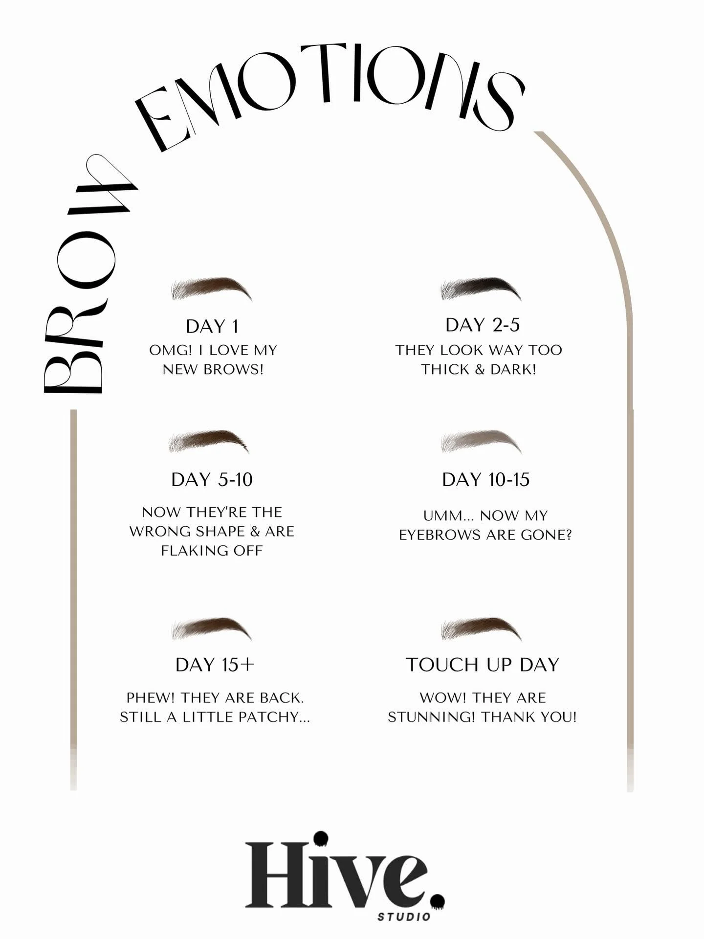 😂 The Brow Emotions: Healing Edition 🎢
#HiveStudioIowa #PowderBrows #BrowEmotions #PMUHealing #OmbreBrows #PowderBrows