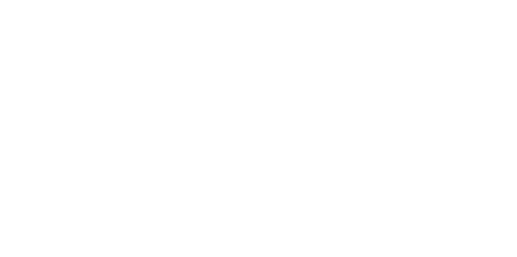 Blue Ridge Industries