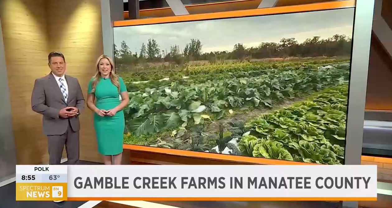 Organic methods yield healthy food at Gamble Creek Farms in Parrish