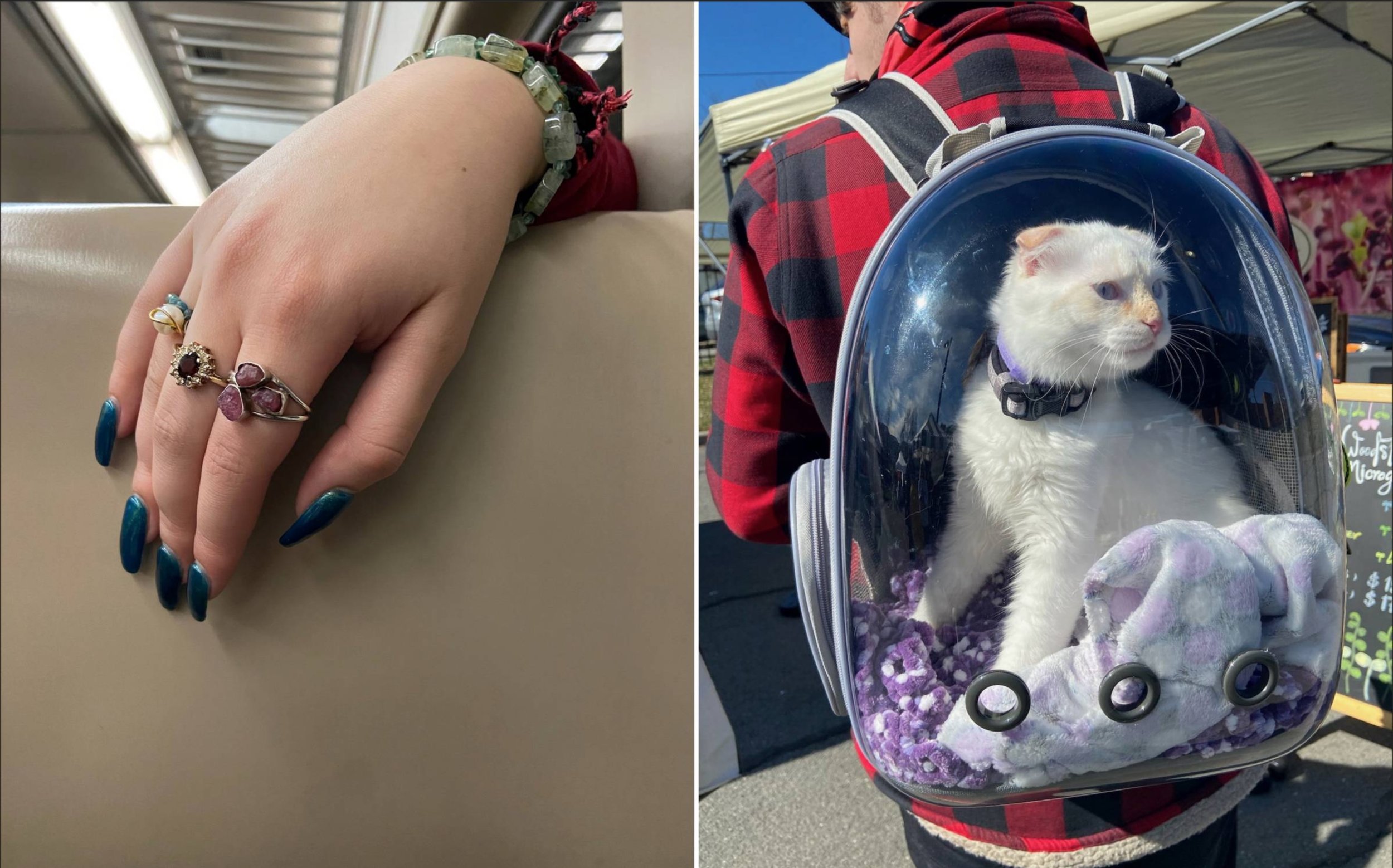 Screenshot 2025-04-15 at 2.37.02 PM.jpg