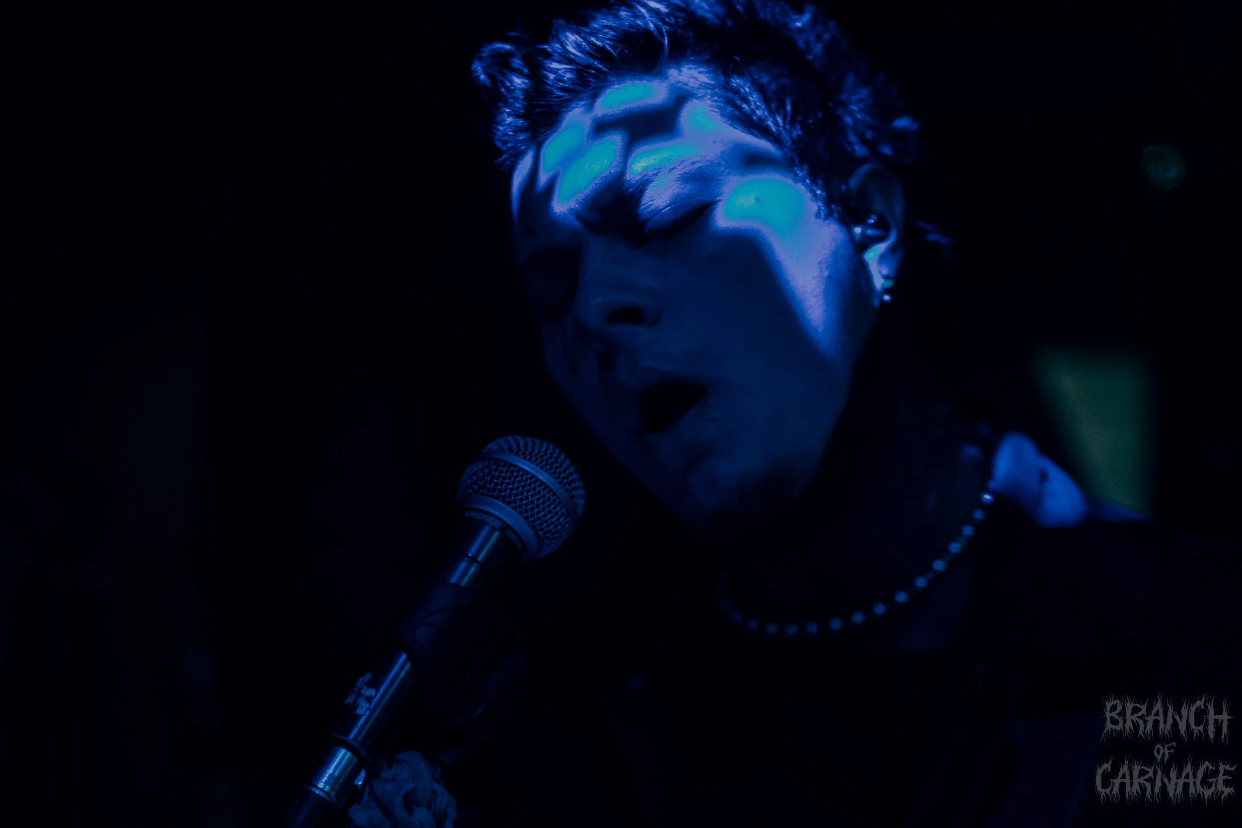 2 Shadows June 24-17.jpg