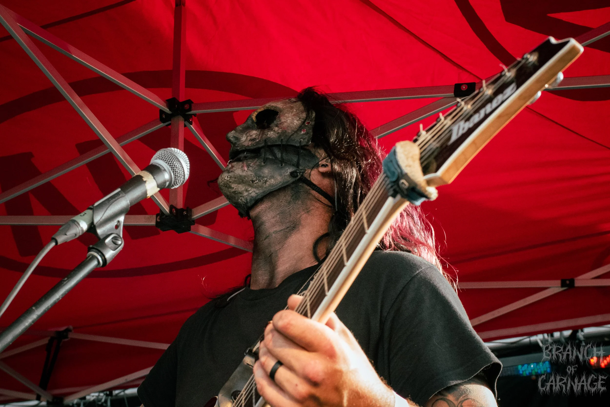 Lucid Karma AW 24-27.jpg