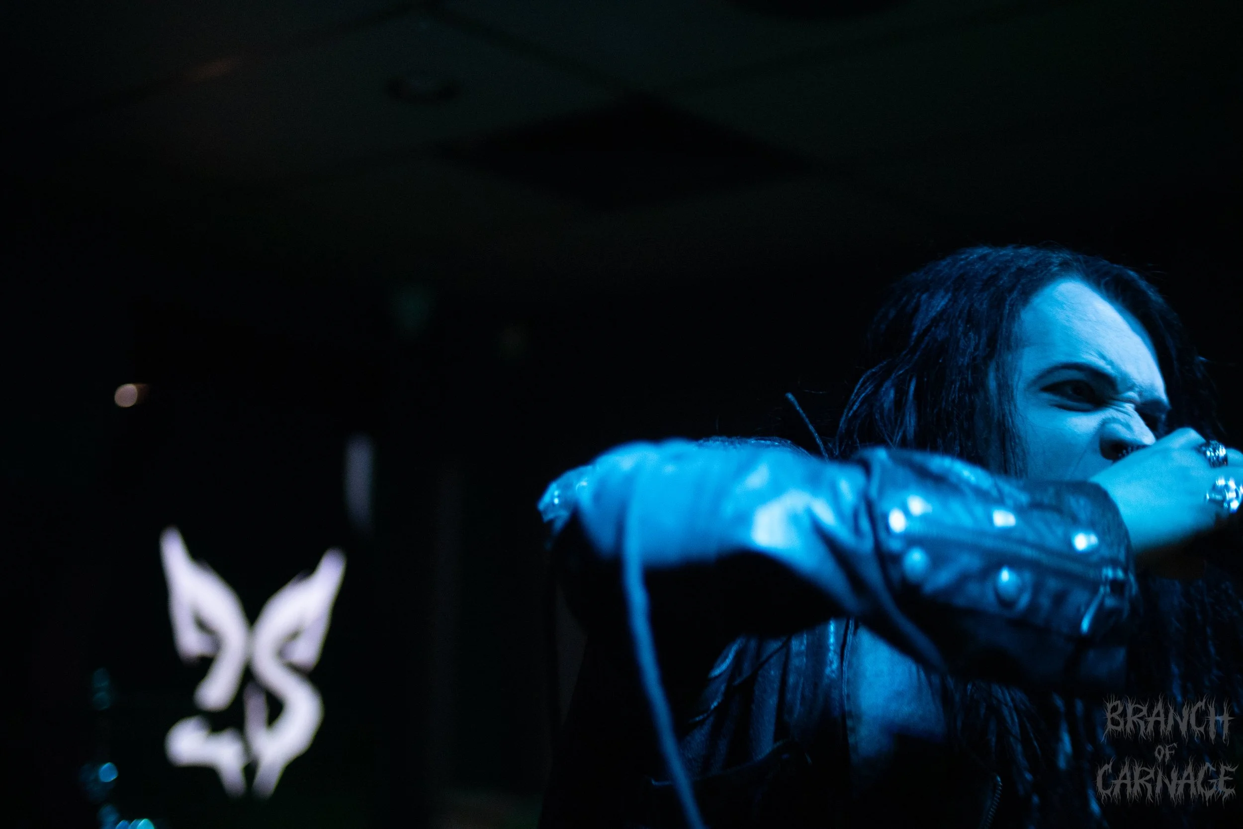 2 Shadows June 24-11.jpg