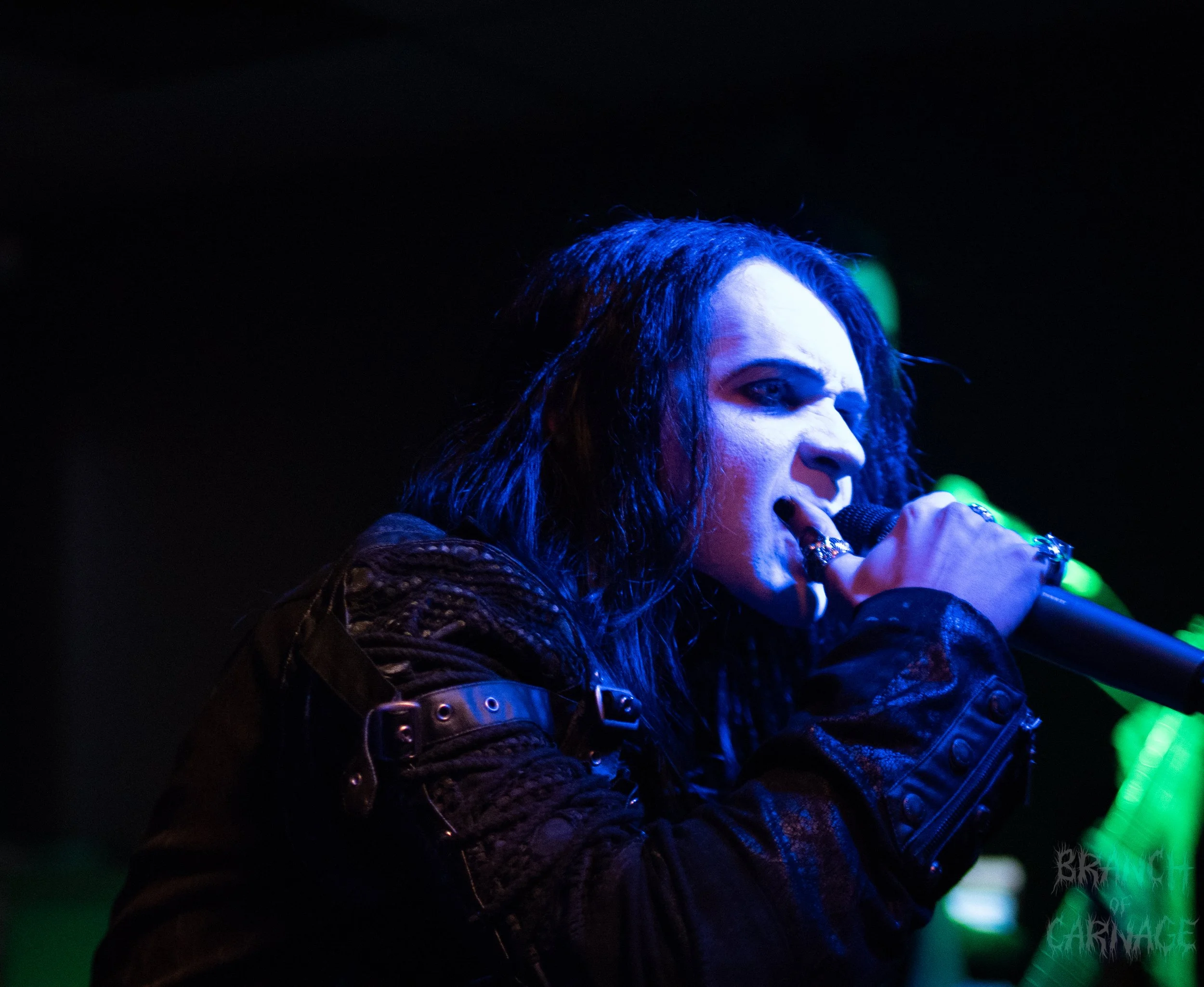 2 Shadows June 24-16.jpg