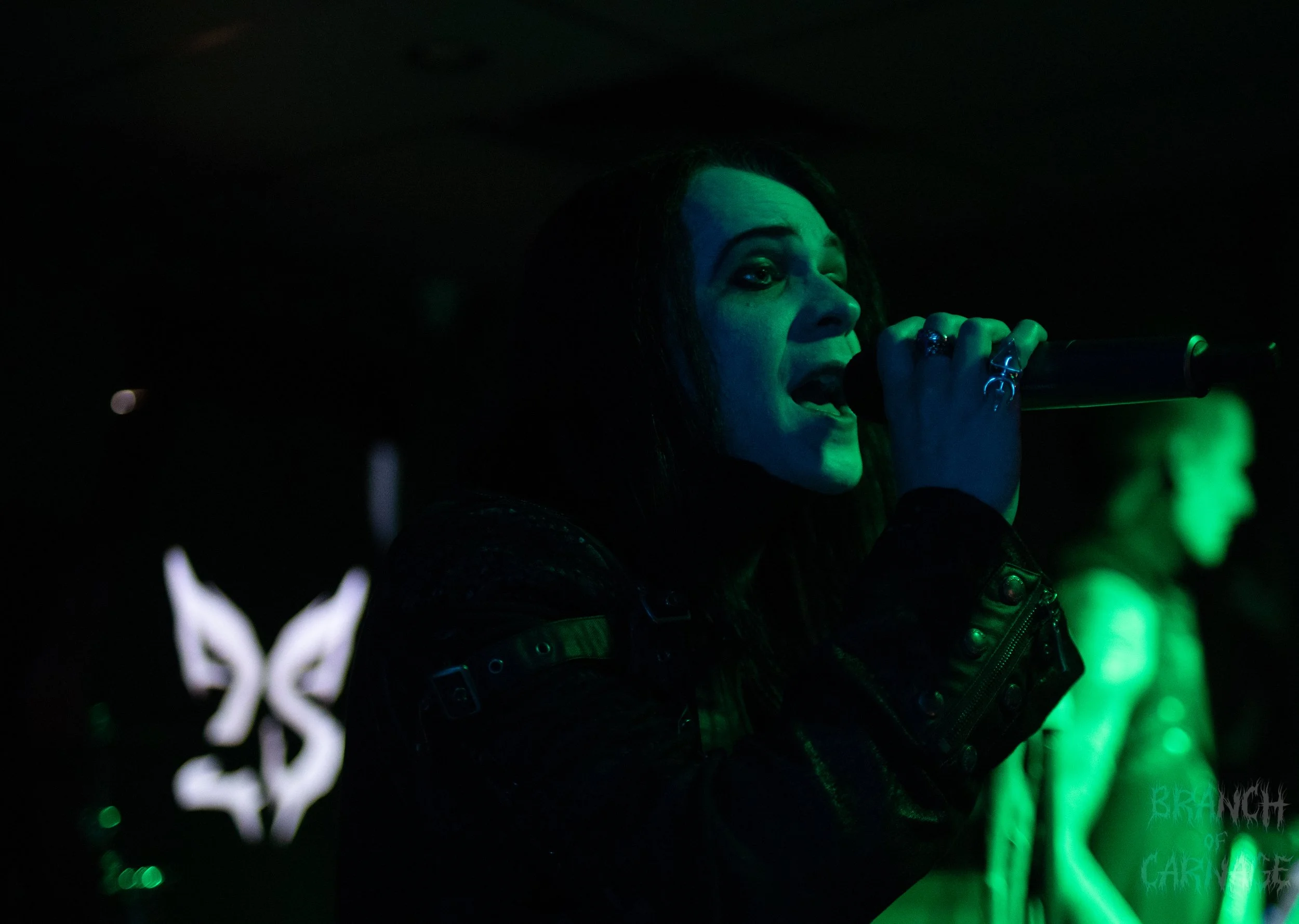 2 Shadows June 24-13.jpg