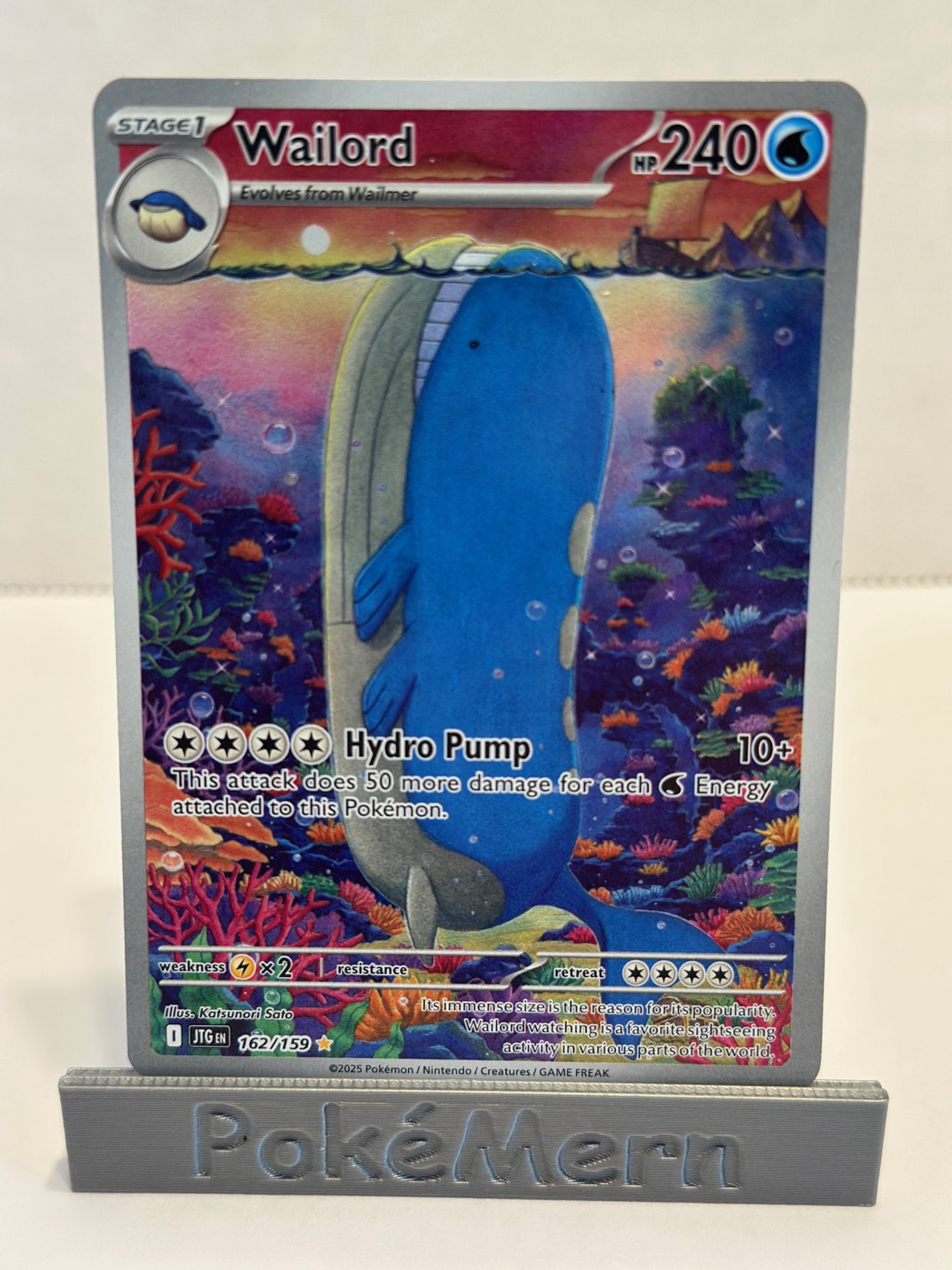 English Wailord