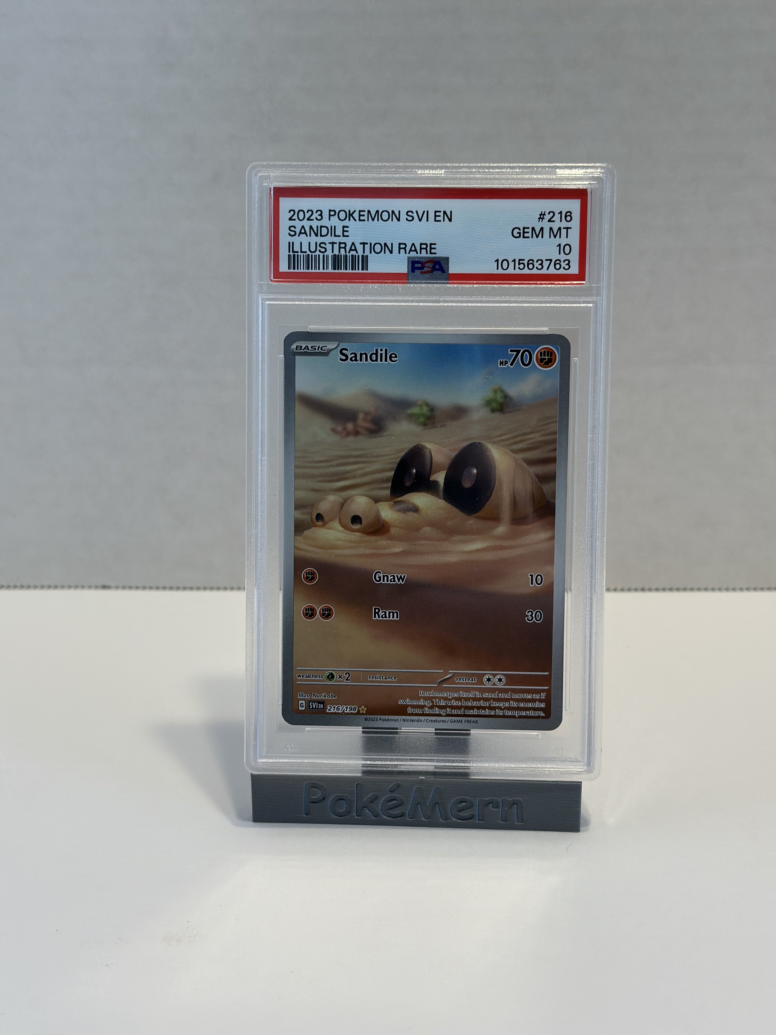 Sandile - 216/198