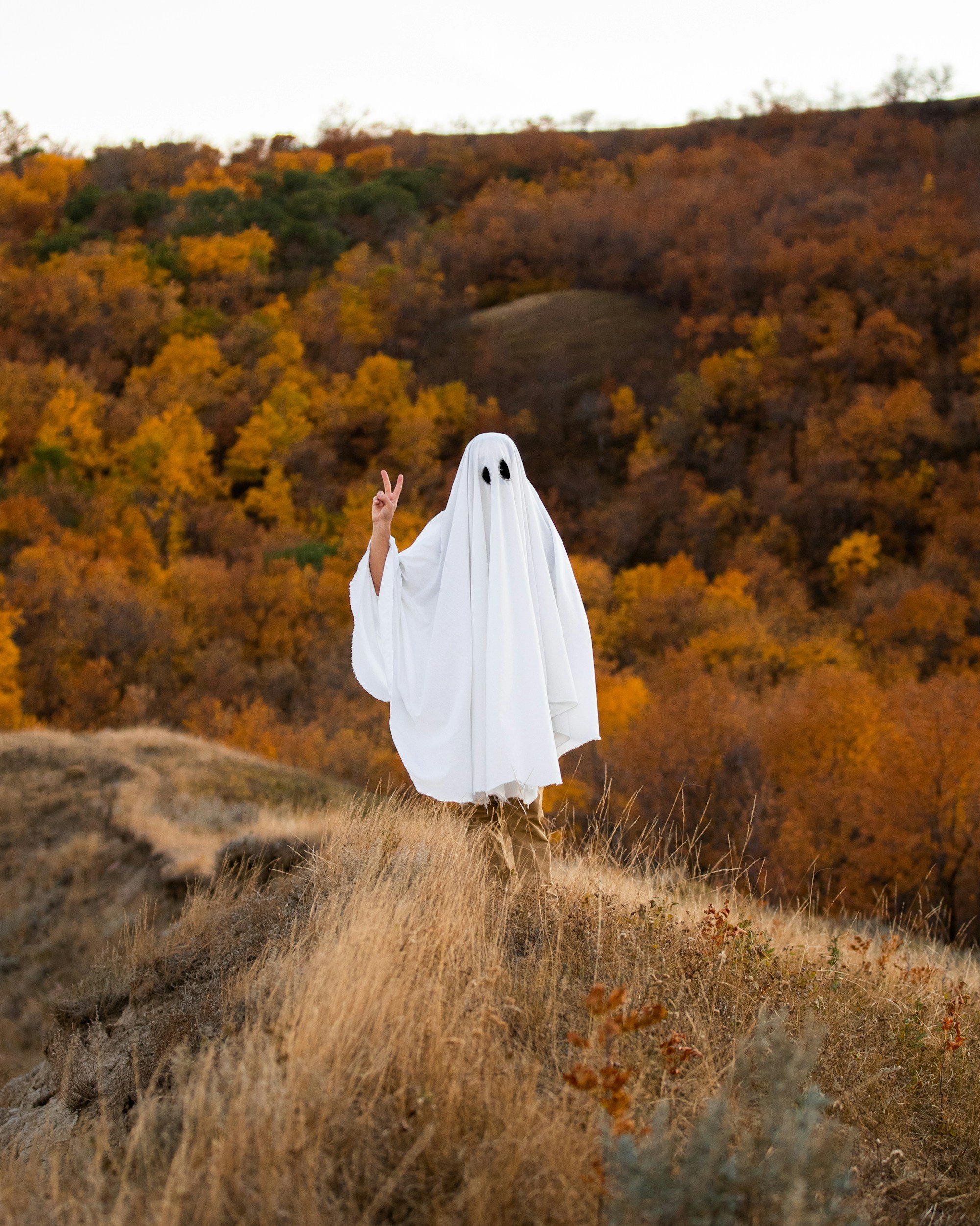 Person dressed as a ghost wearing a white sheet with eye holes, holding up two peace signs, standing on a grassy hill with fall-colored trees in the background to explore in talk therapy.