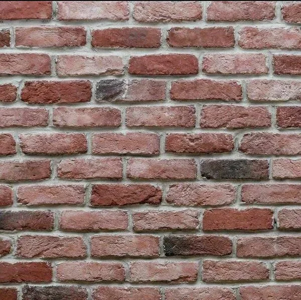 23-02-2025 12-29-49.jpg