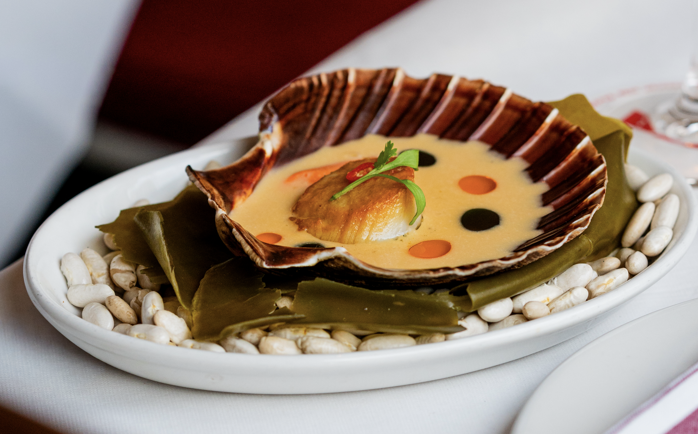 Seafood dish featuring a scallop served inside a shell, garnished with chili and herbs, surrounded by seaweed and white beans on a white plate.