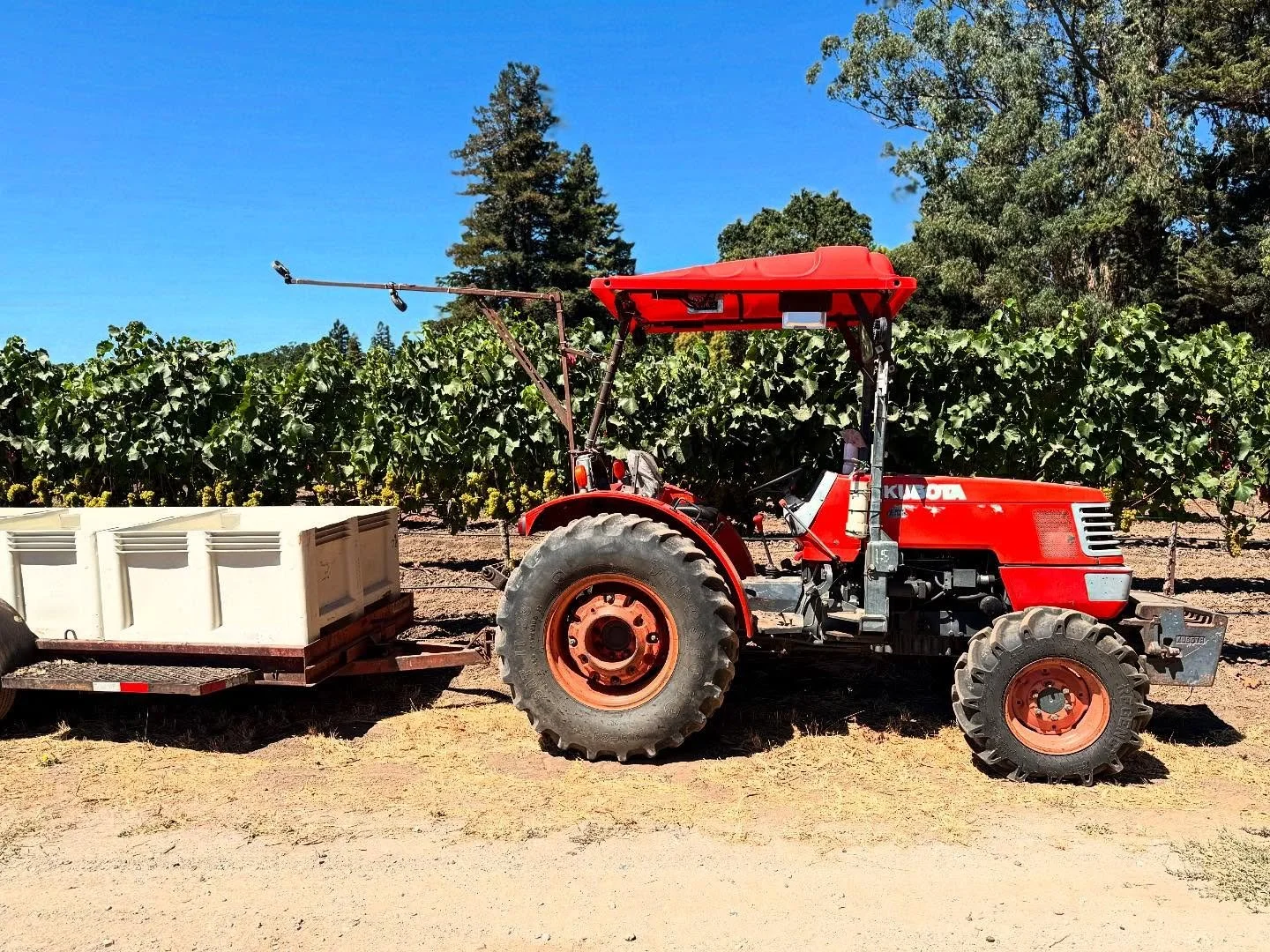 It's harvest season! Join us as we celebrate Sonoma Valley's 200th harvest with an exclusive tour of the region's top family-owned vineyards, delving into the world of viticulture and agriculture. 🧑&zwj;🌾 🍇 🍷