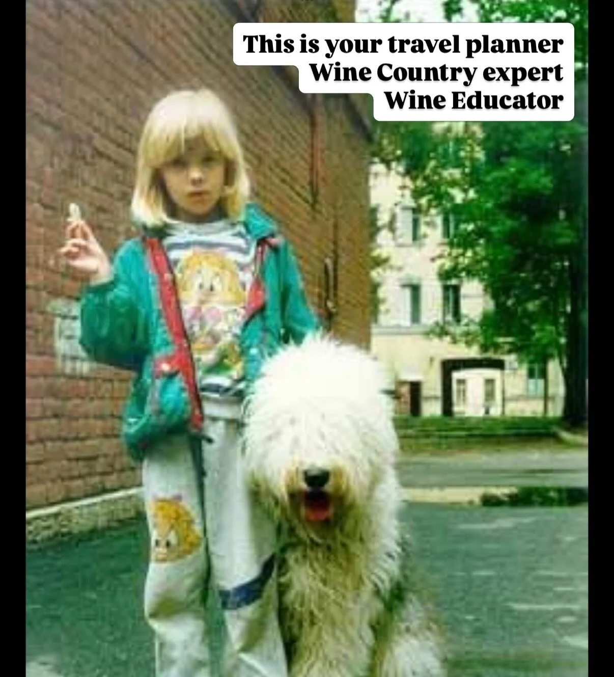 Meet Vlada and Shawn, the owners of @northbaywinetours, offering top-notch wine country experiences for over 5 years - book your 2026 tour by DM!