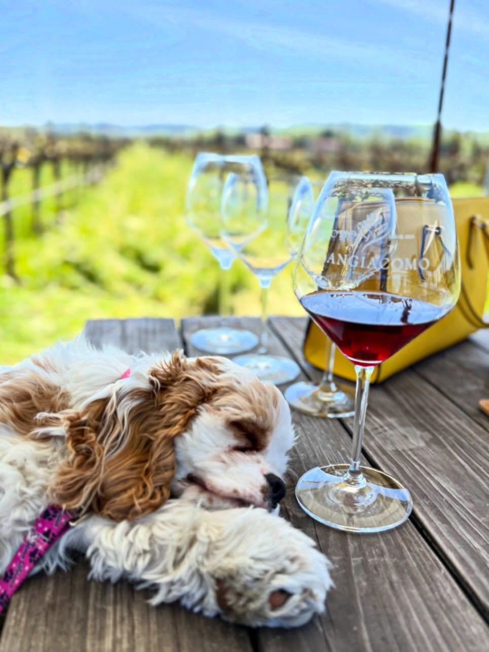 Cheers to the weekend!