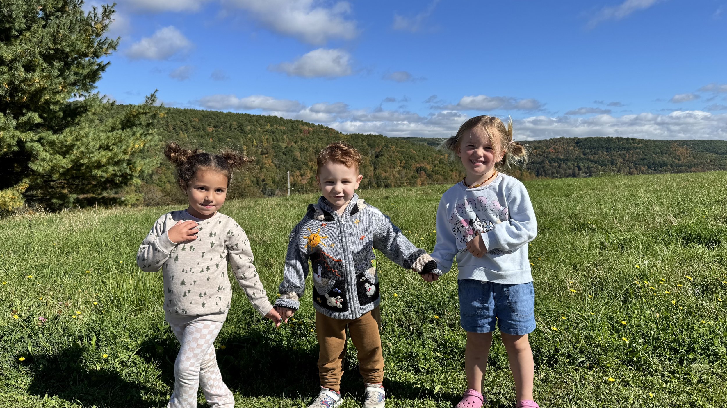 Three children holding hands in a grassy field with trees and hills in the background on a sunny day.